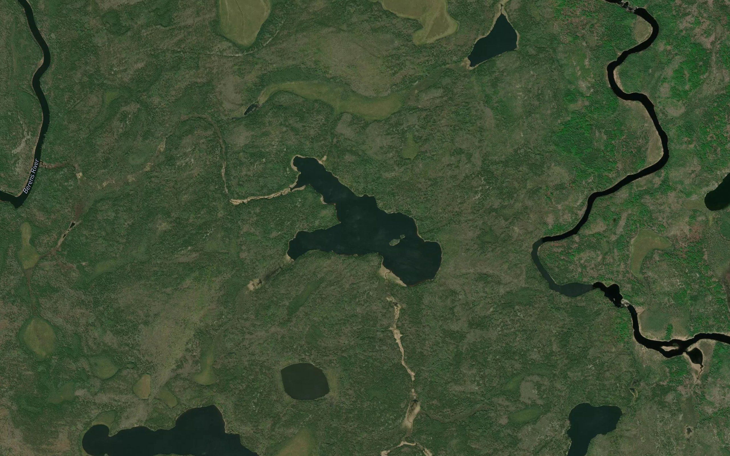 Flesch Lake