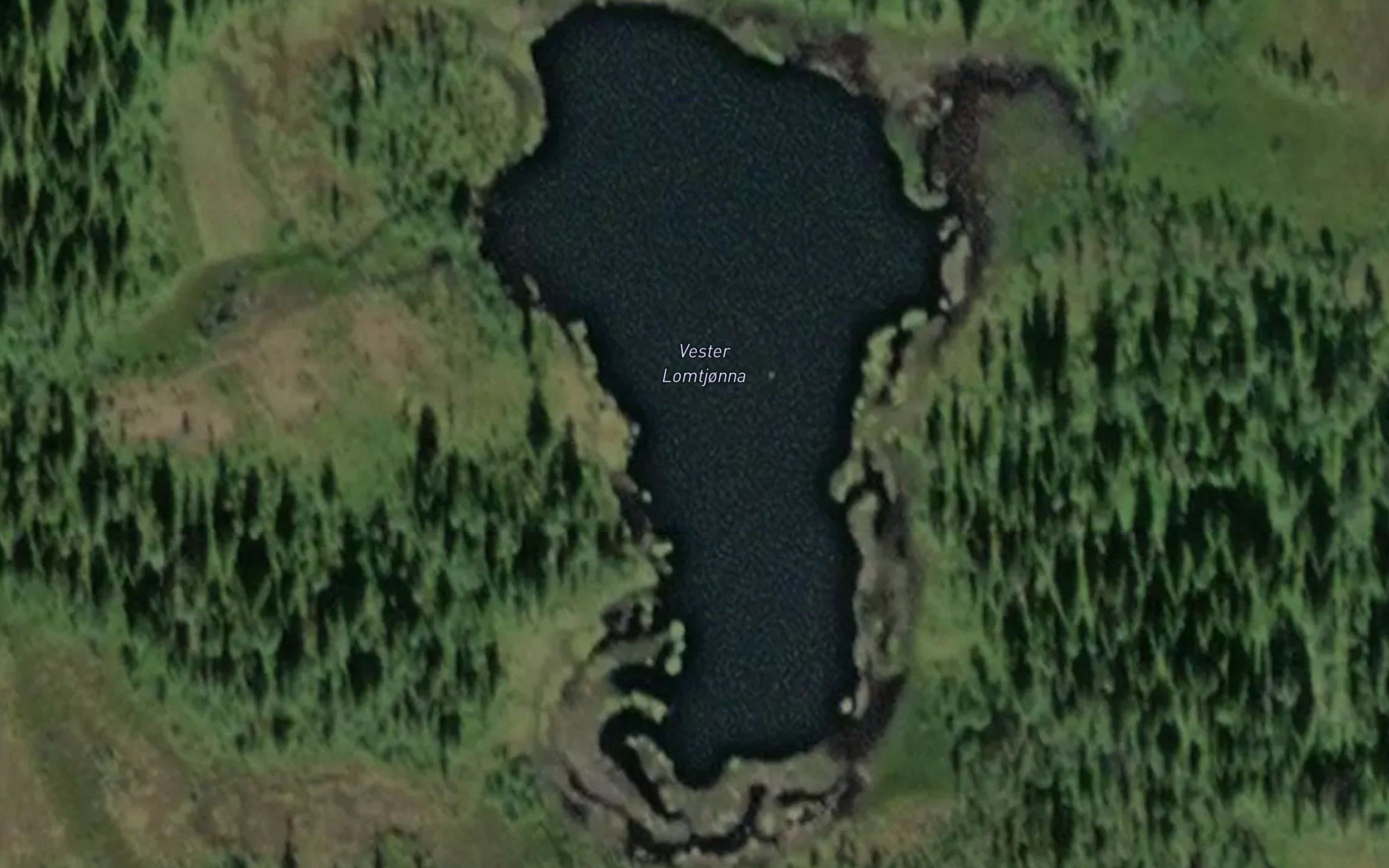 Vester Lomtjonna