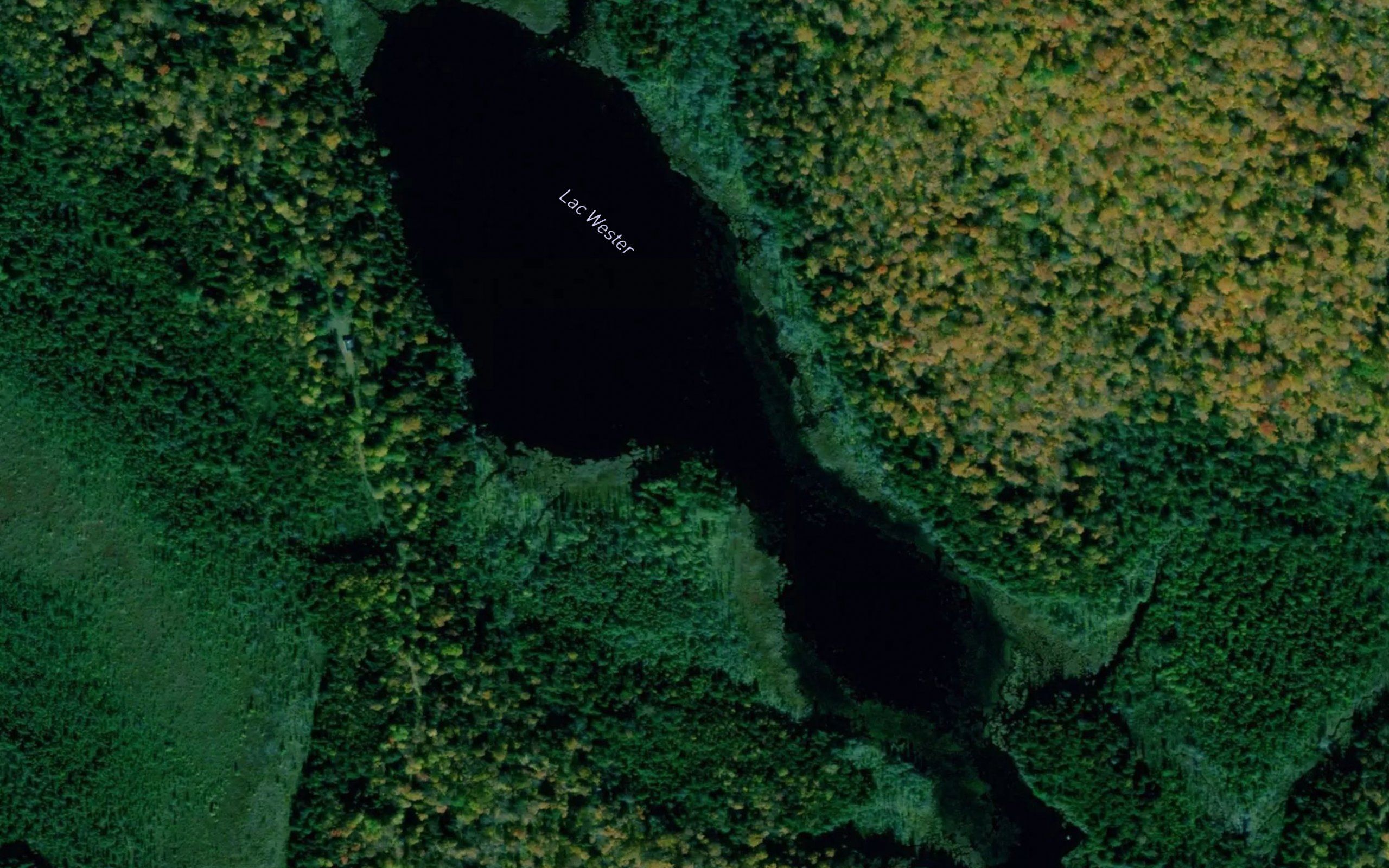 Lac Wester