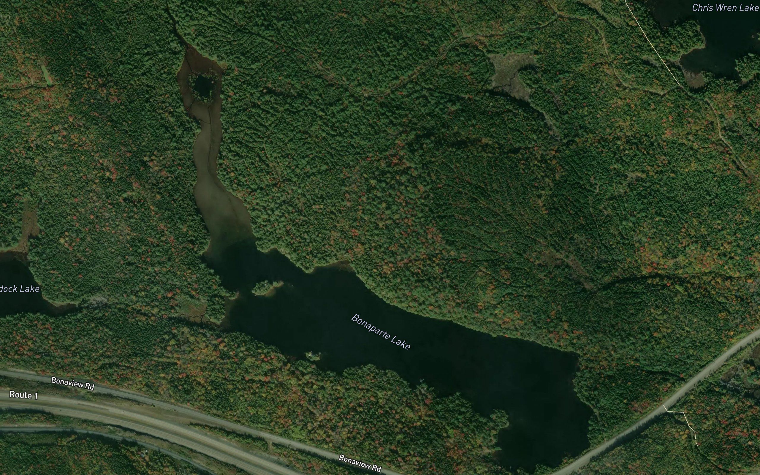 Bonaparte Lake