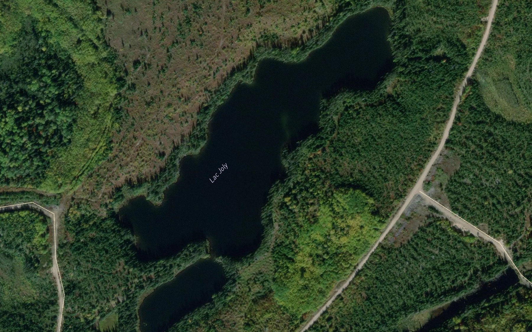 Satellite map of the Lac Joly