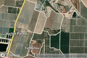 `En Neshev