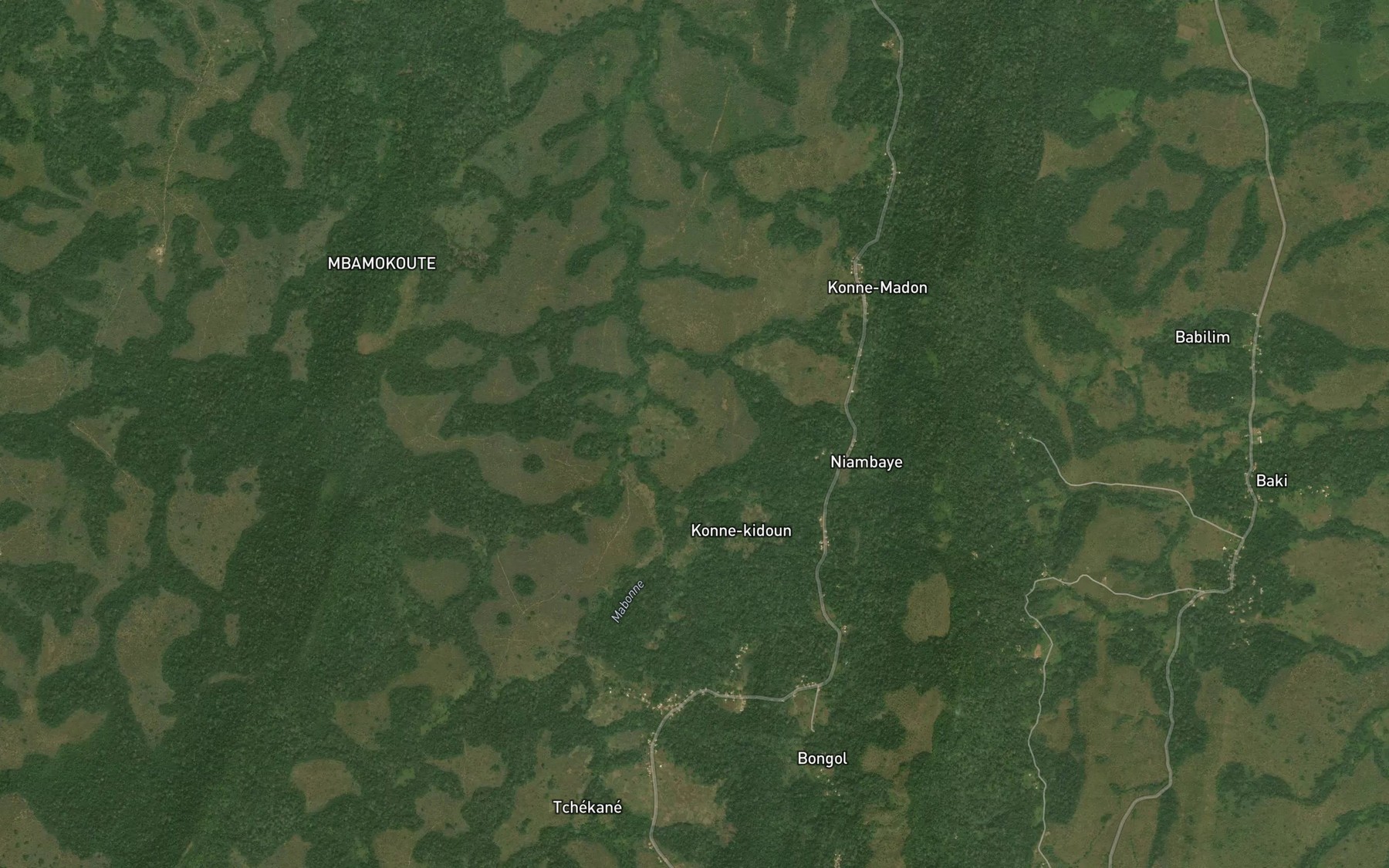 Satellite map of the Bebala