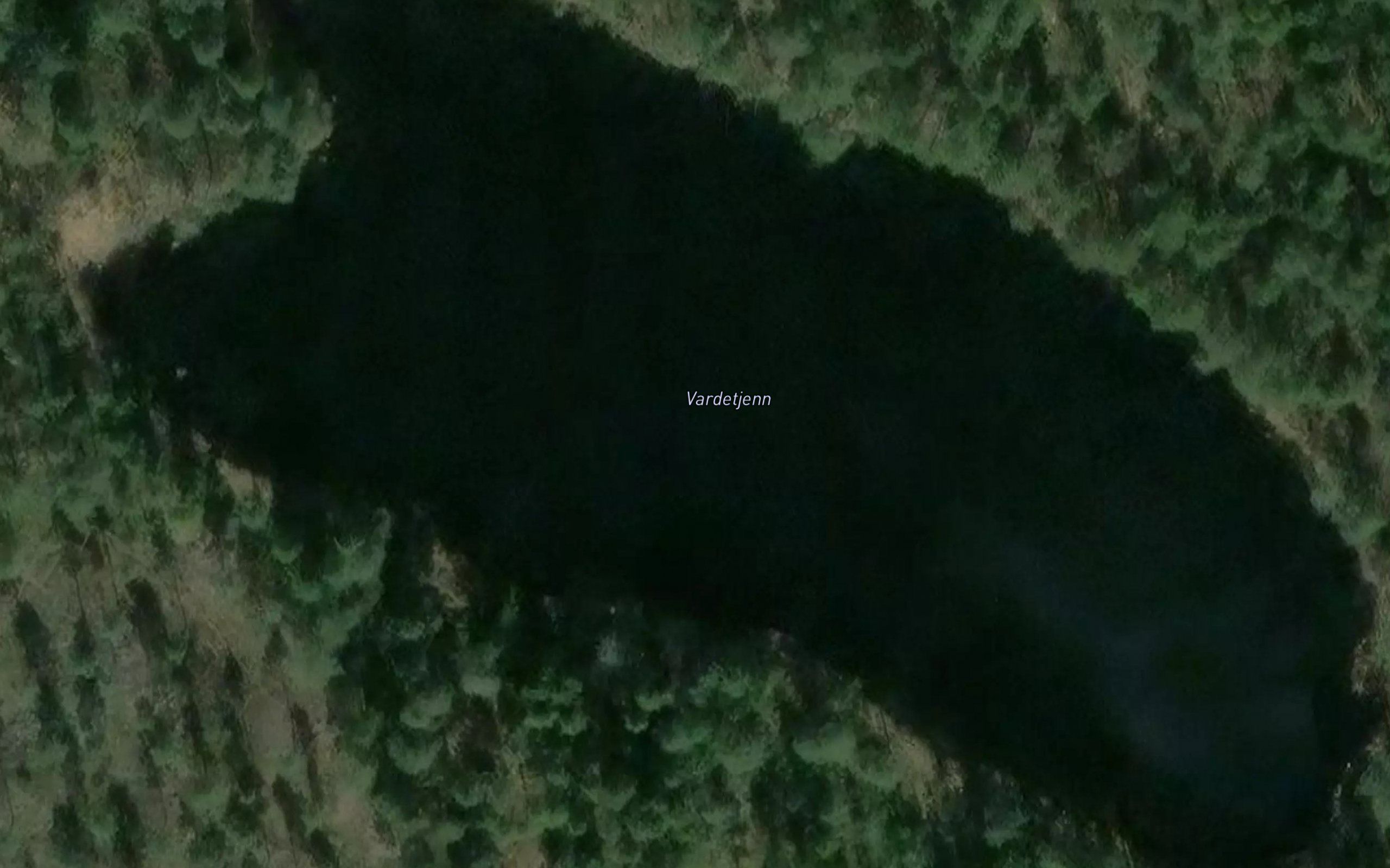 Vardetjern
