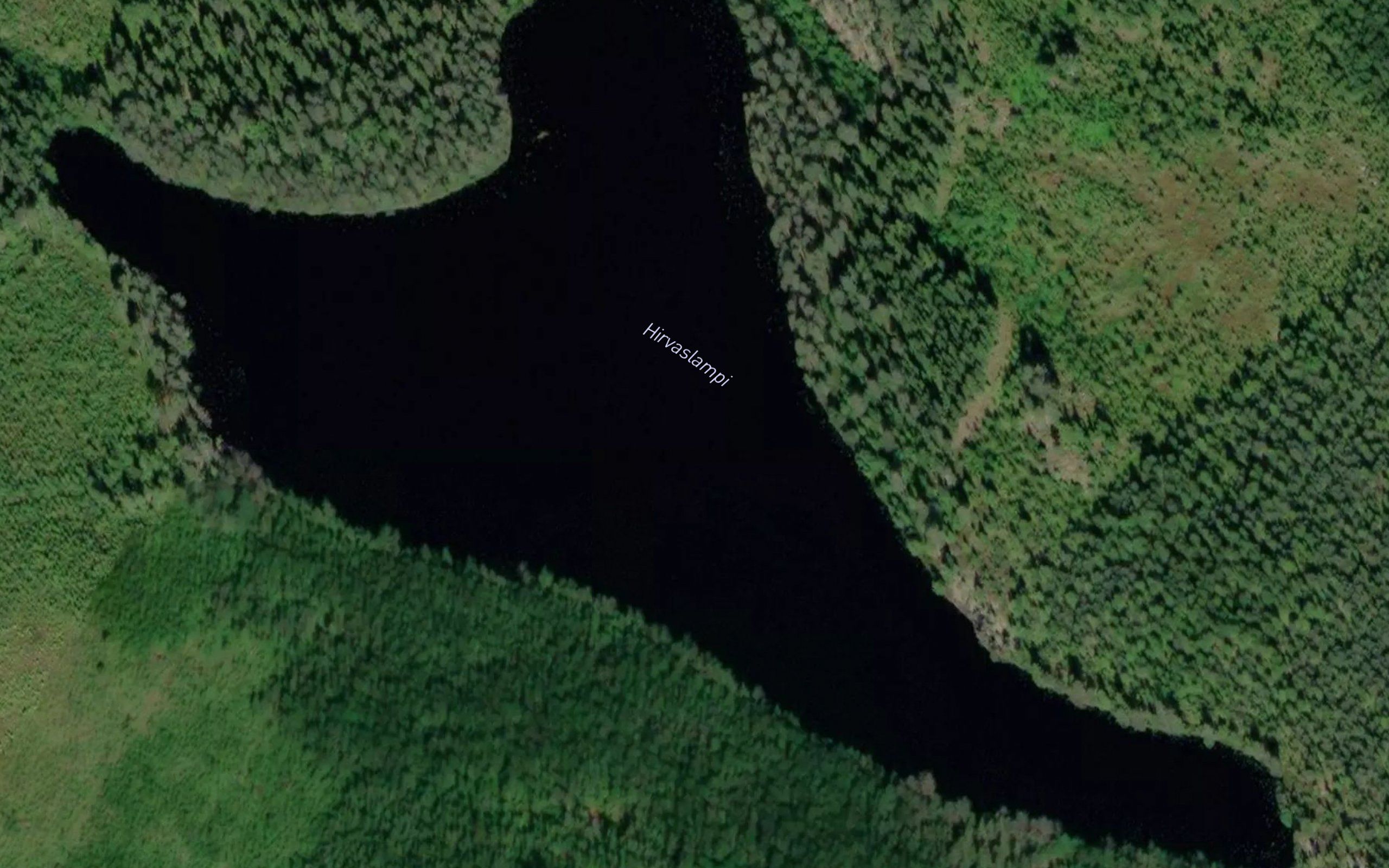 Hirvaslampi