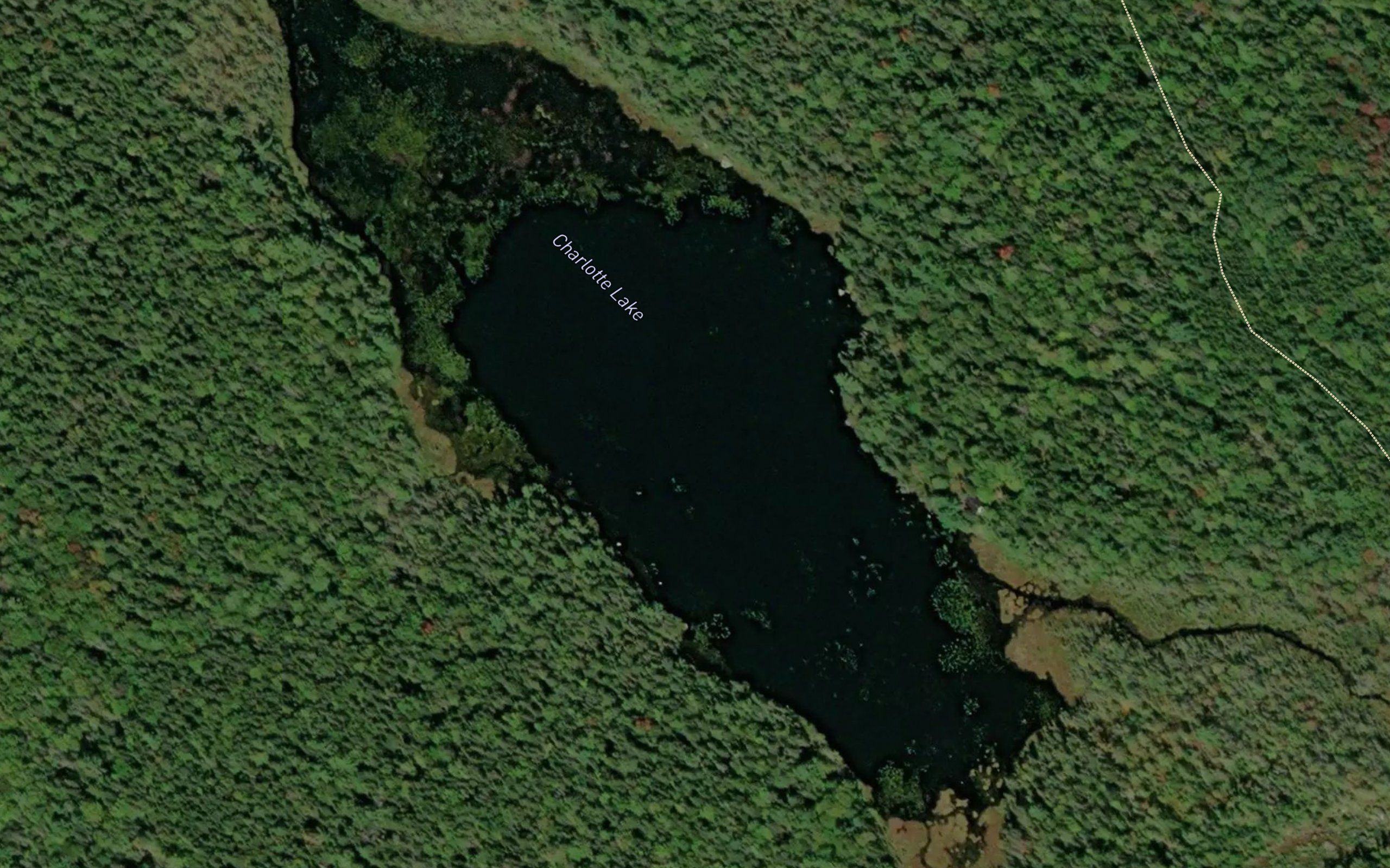 Charlotte Lake