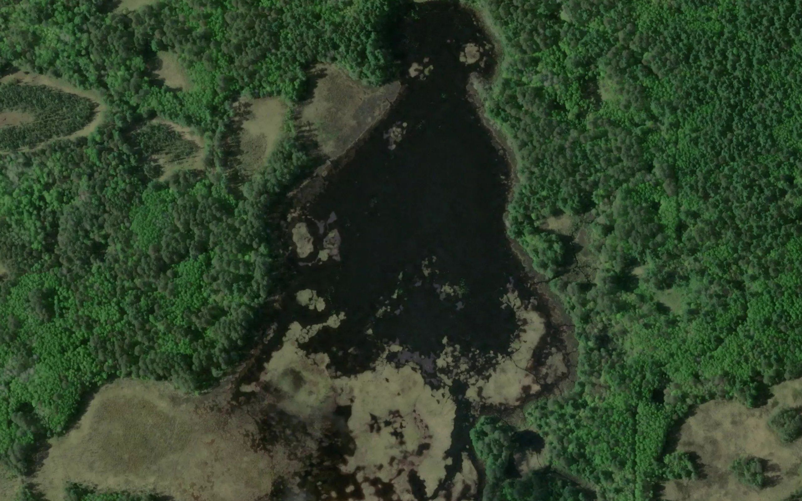 Brandt Lake