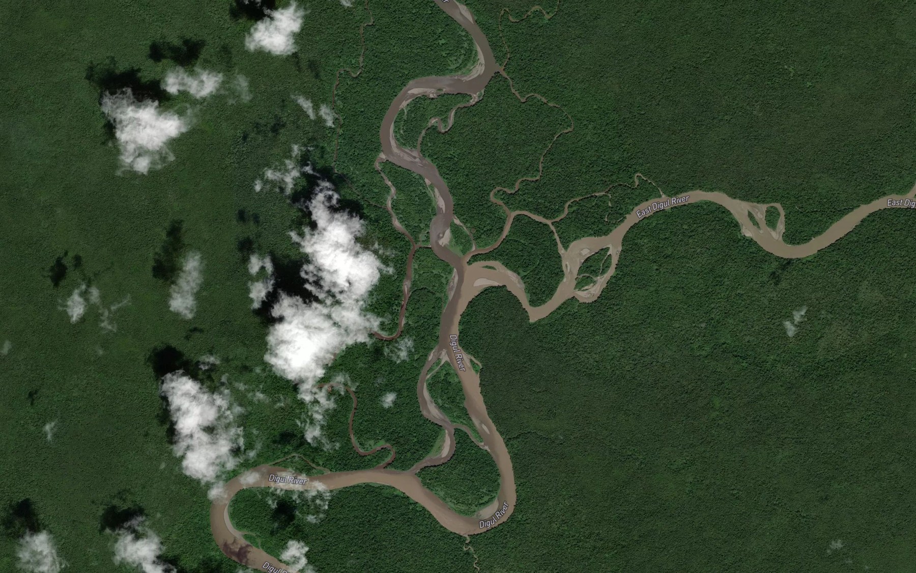 Satellite map of the West Digul River