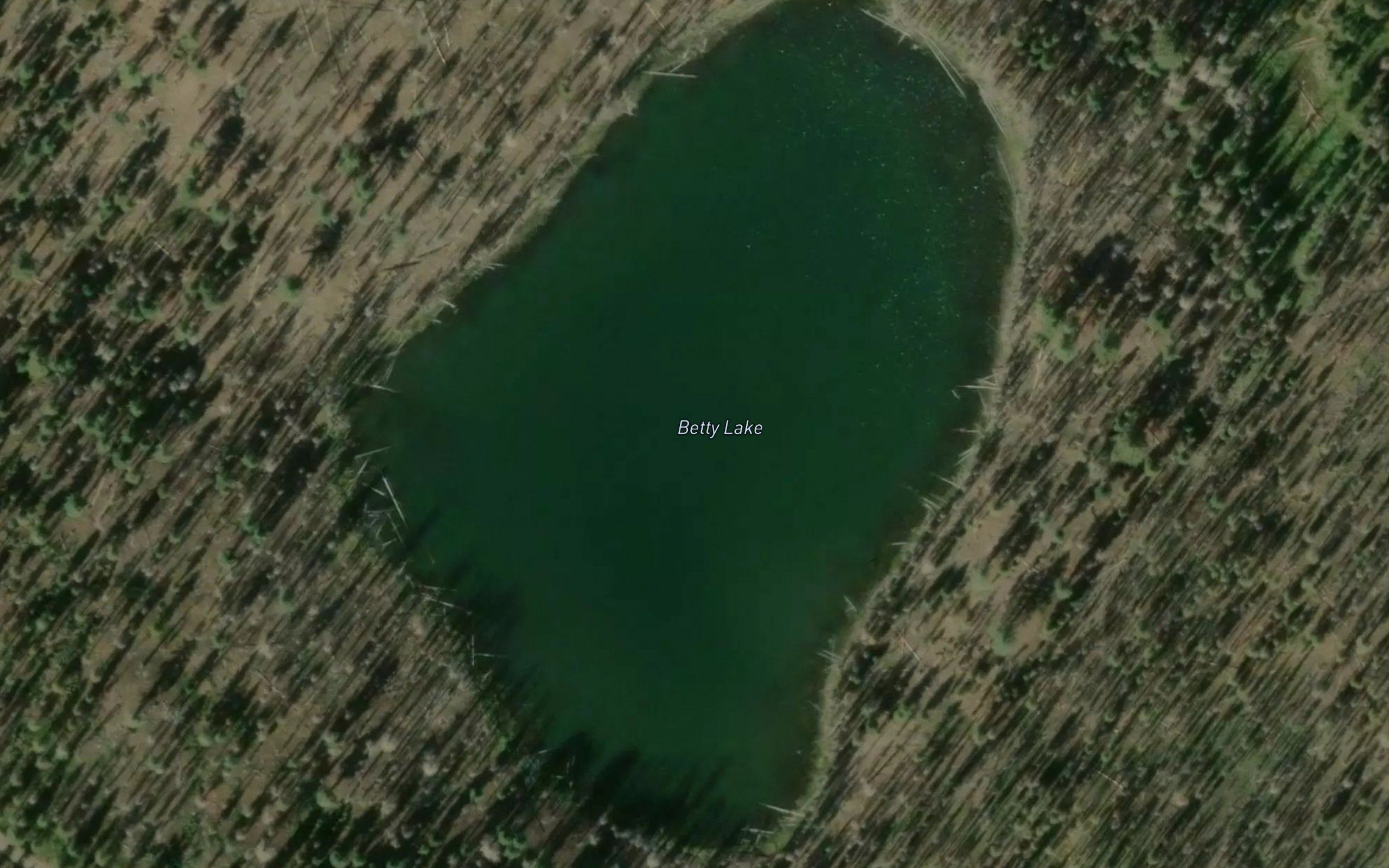 Betty Lake