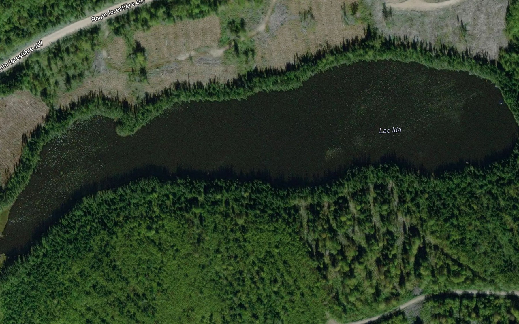 Satellite map of the Lac Ida