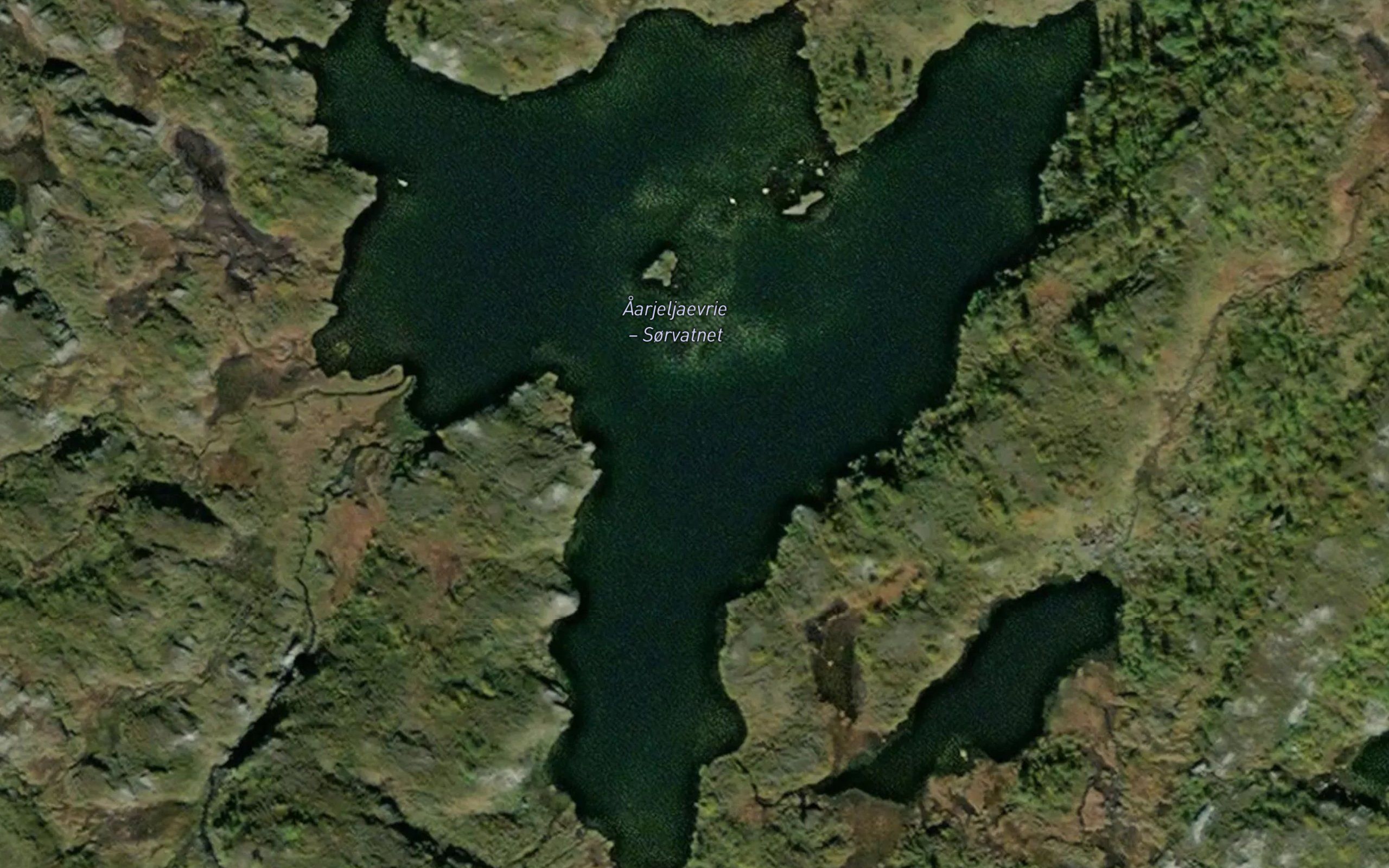Aarjeljaevrie