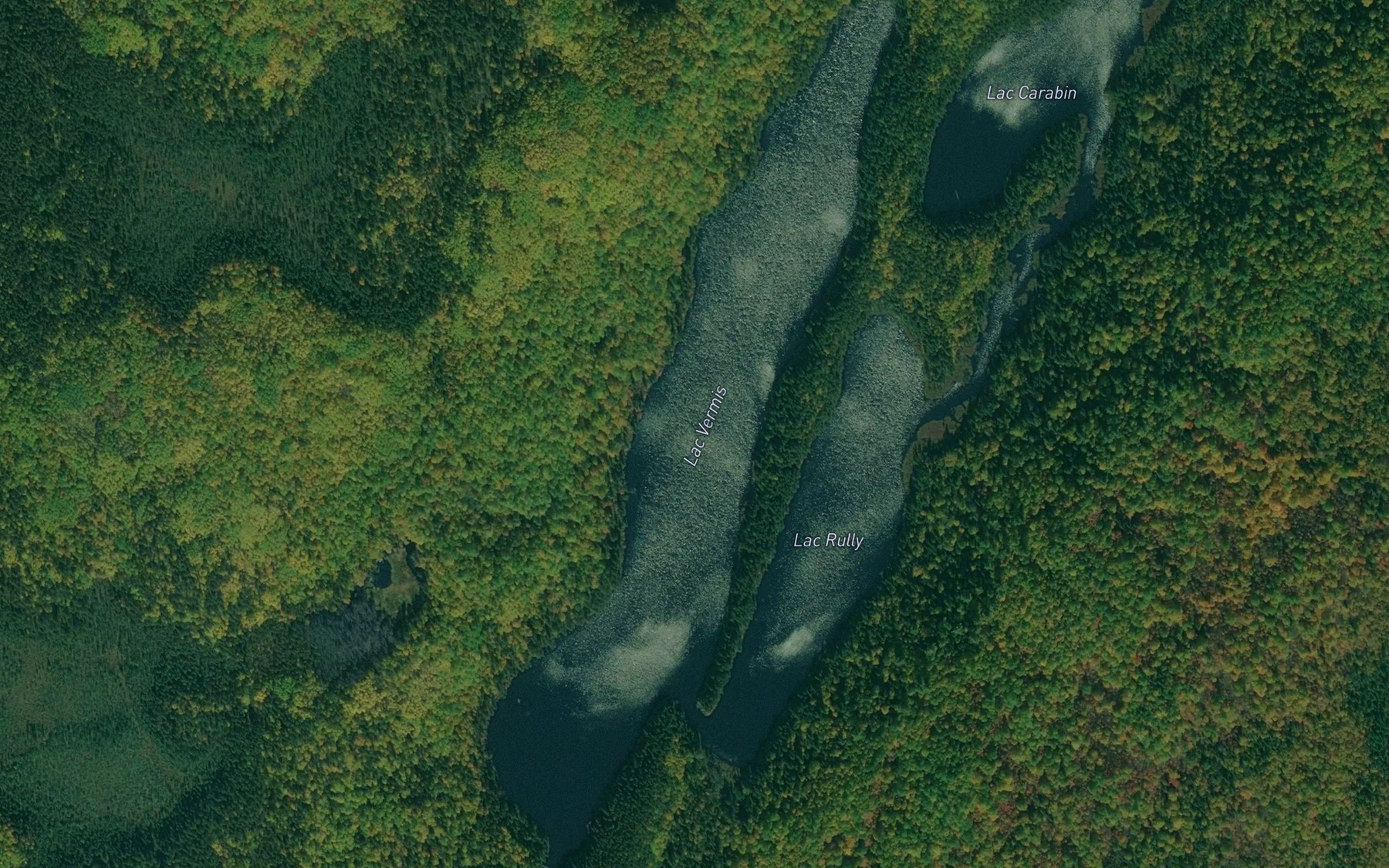 Satellite map of the Lac Vermis