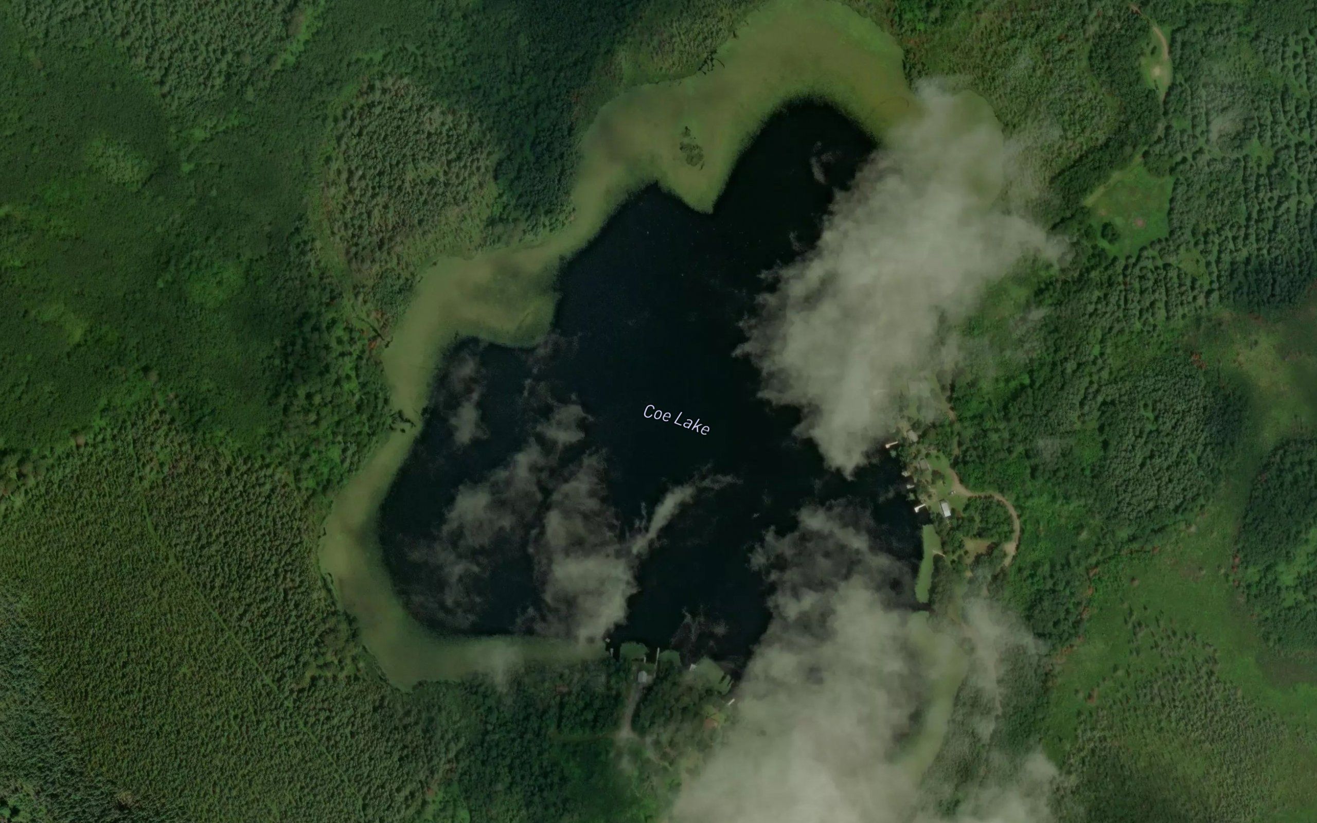 Coe Lake