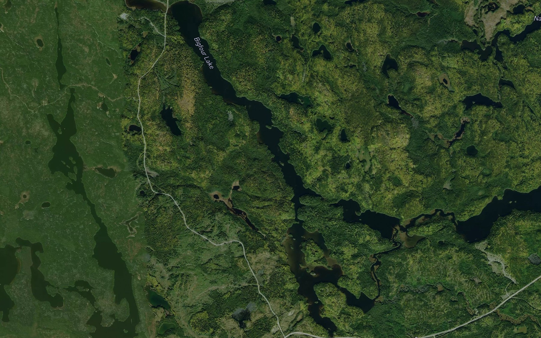 Satellite map of the Bigfour Lake