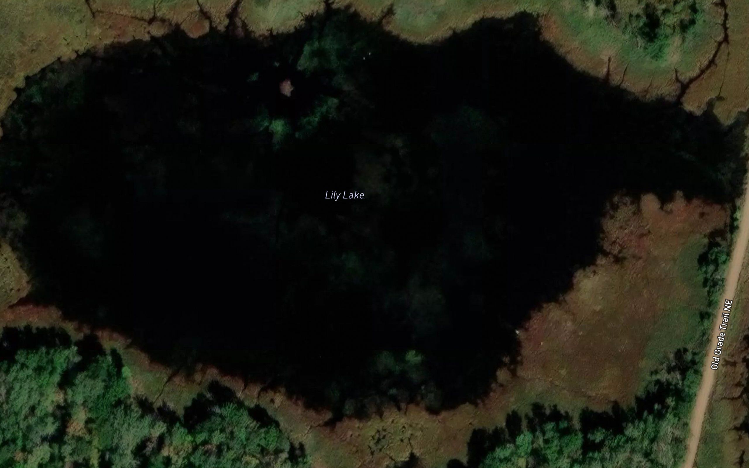 Lily Lake