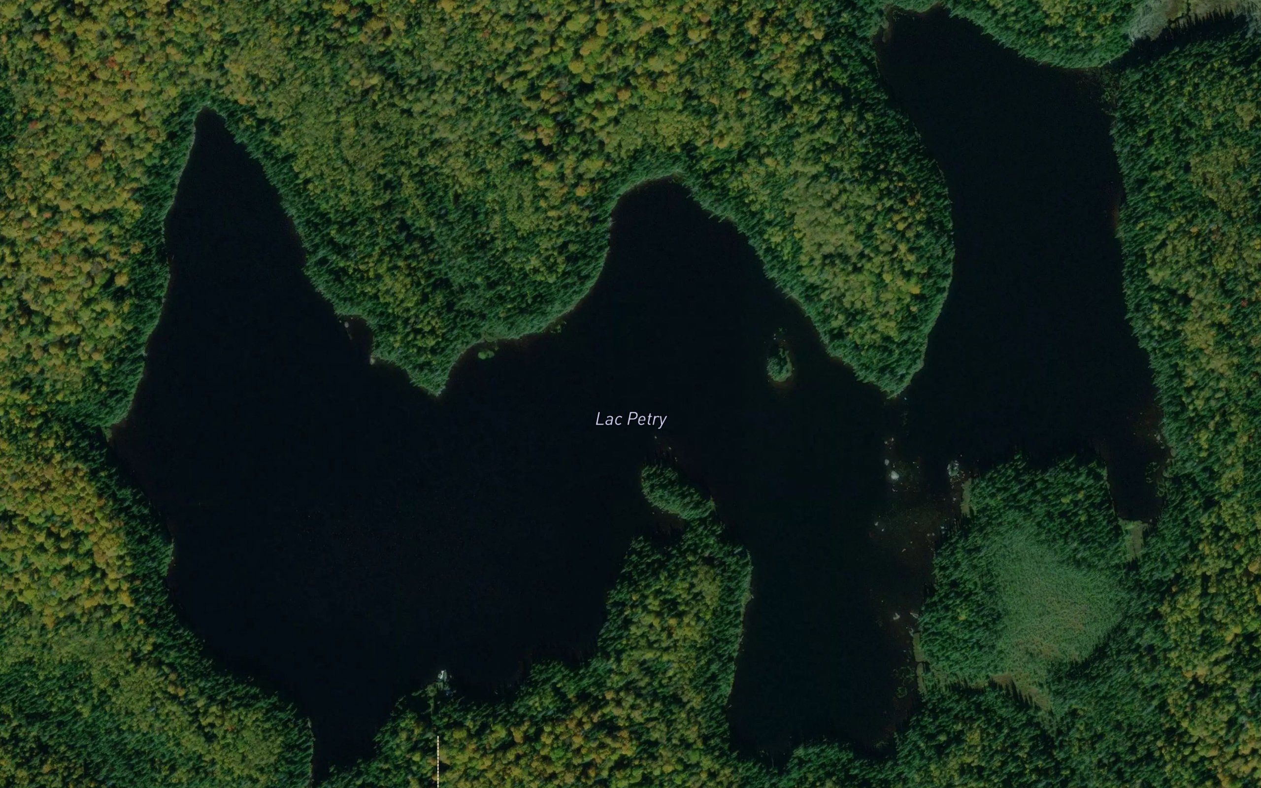 Lac Petry