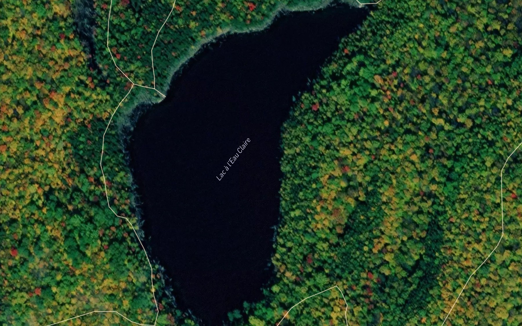 Satellite map of the Lac a l'Eau Claire