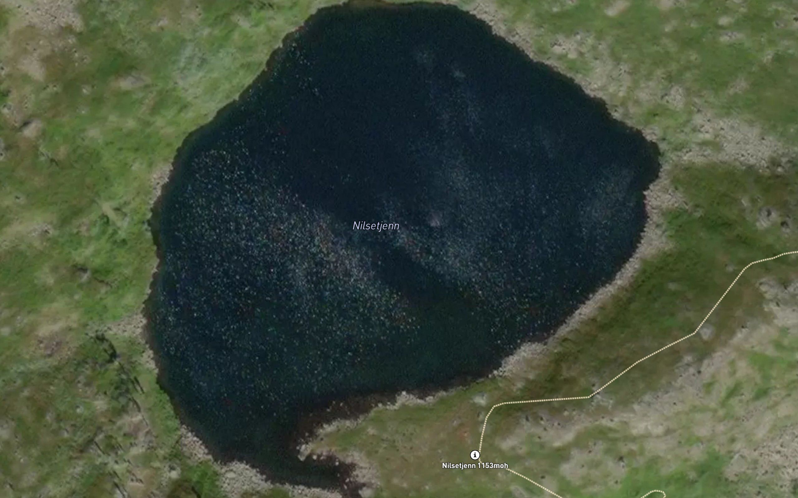 Nilsetjern