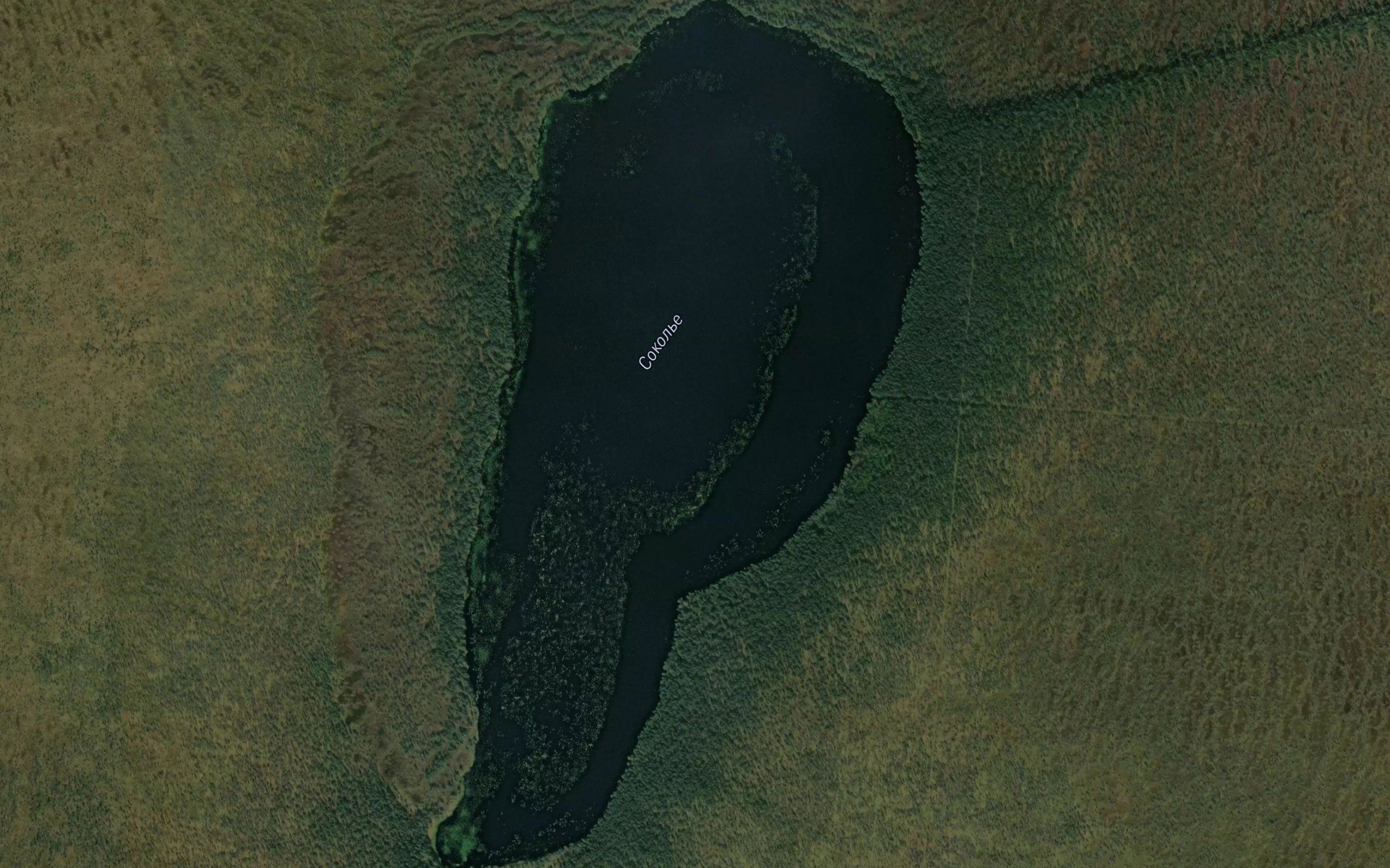 Ozero Sokol'ye