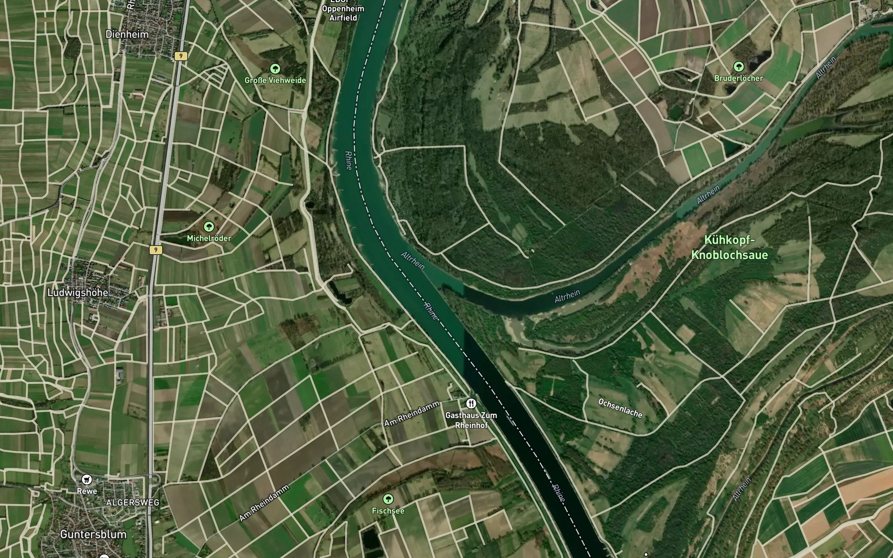 Satellite map of the Altrhein