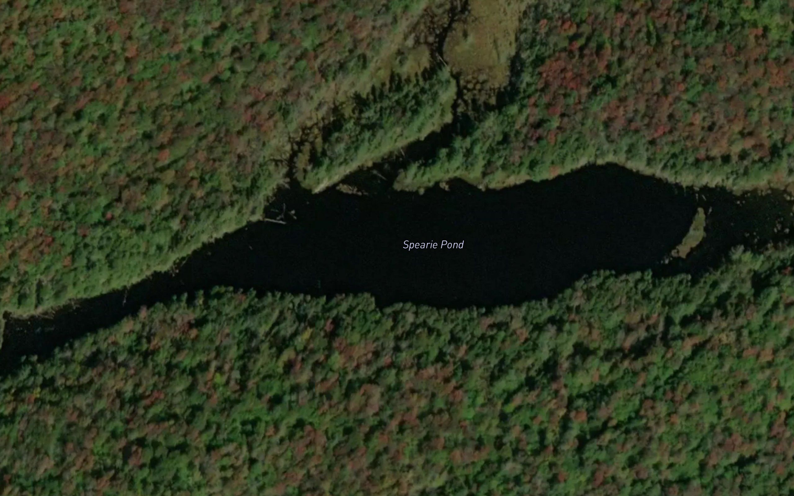 Spearie Pond