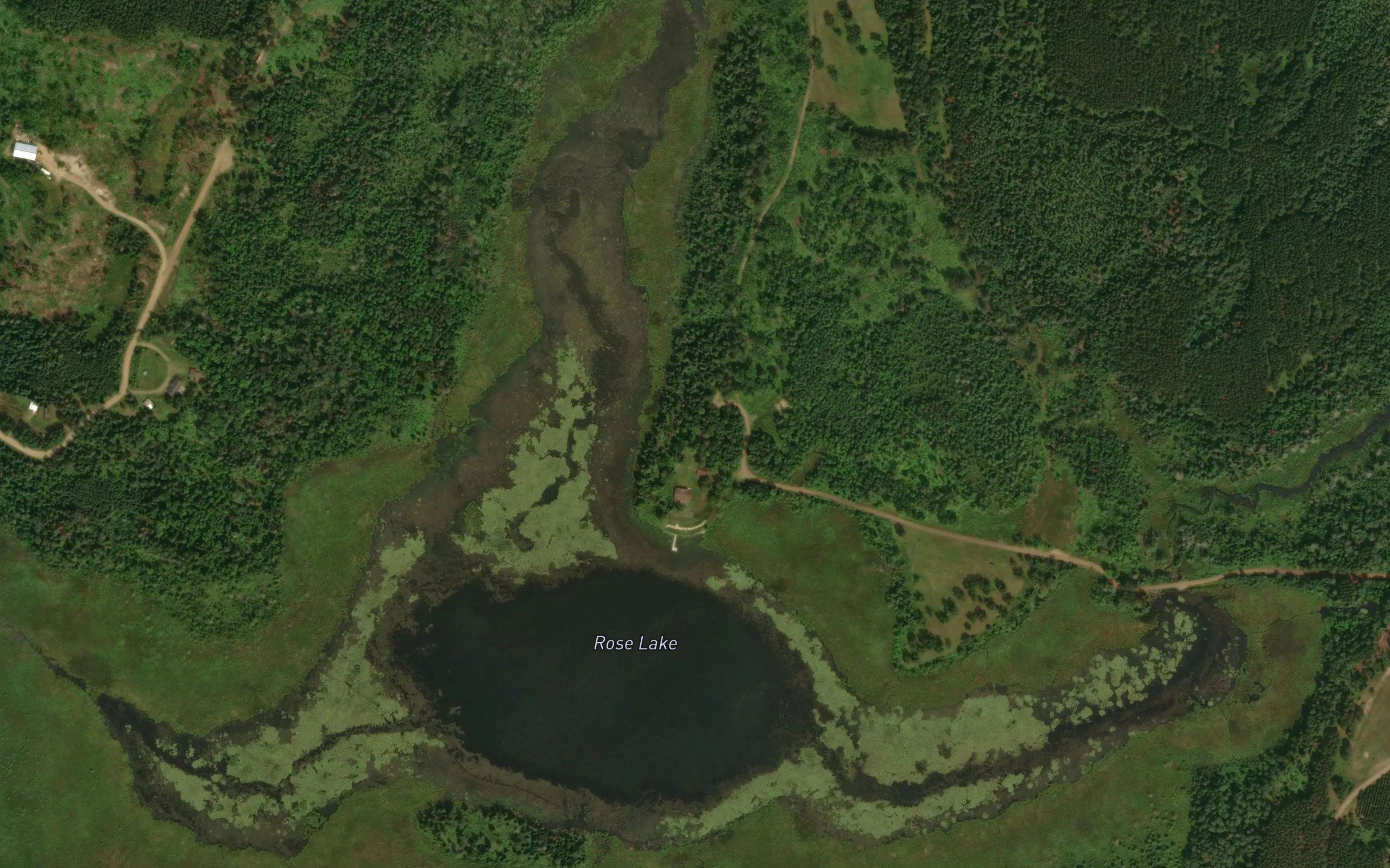 Rose Lake