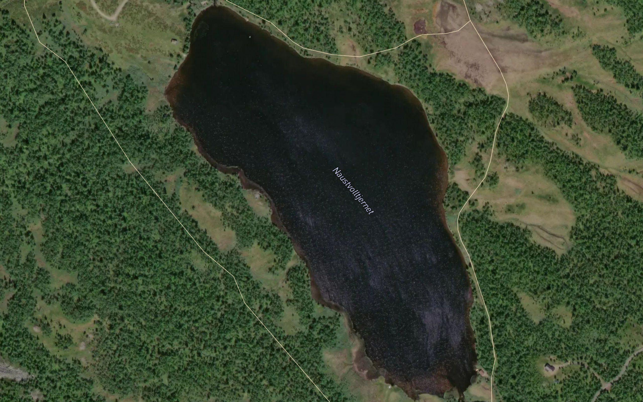 Naustvolltjednet