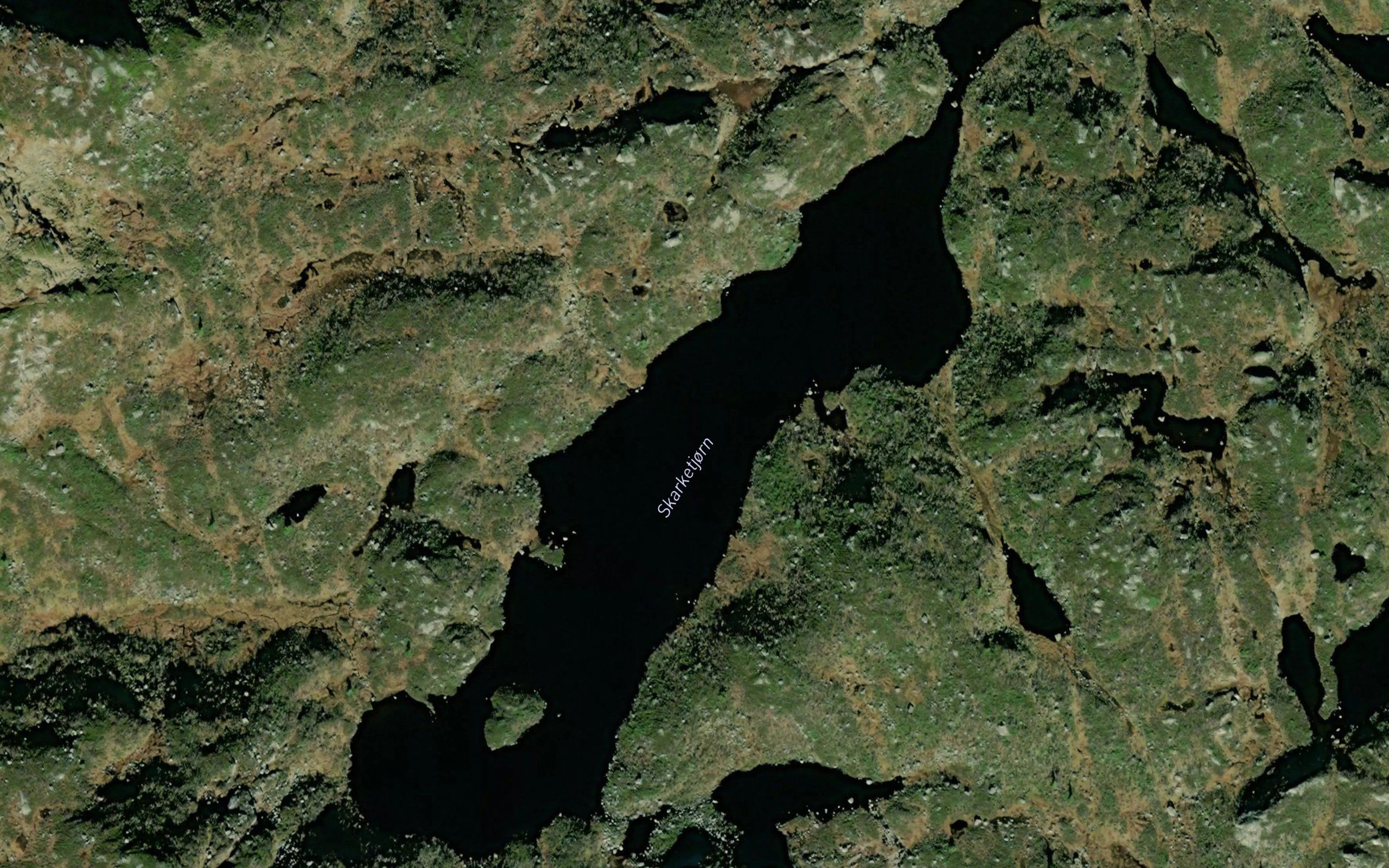 Skarketjorn