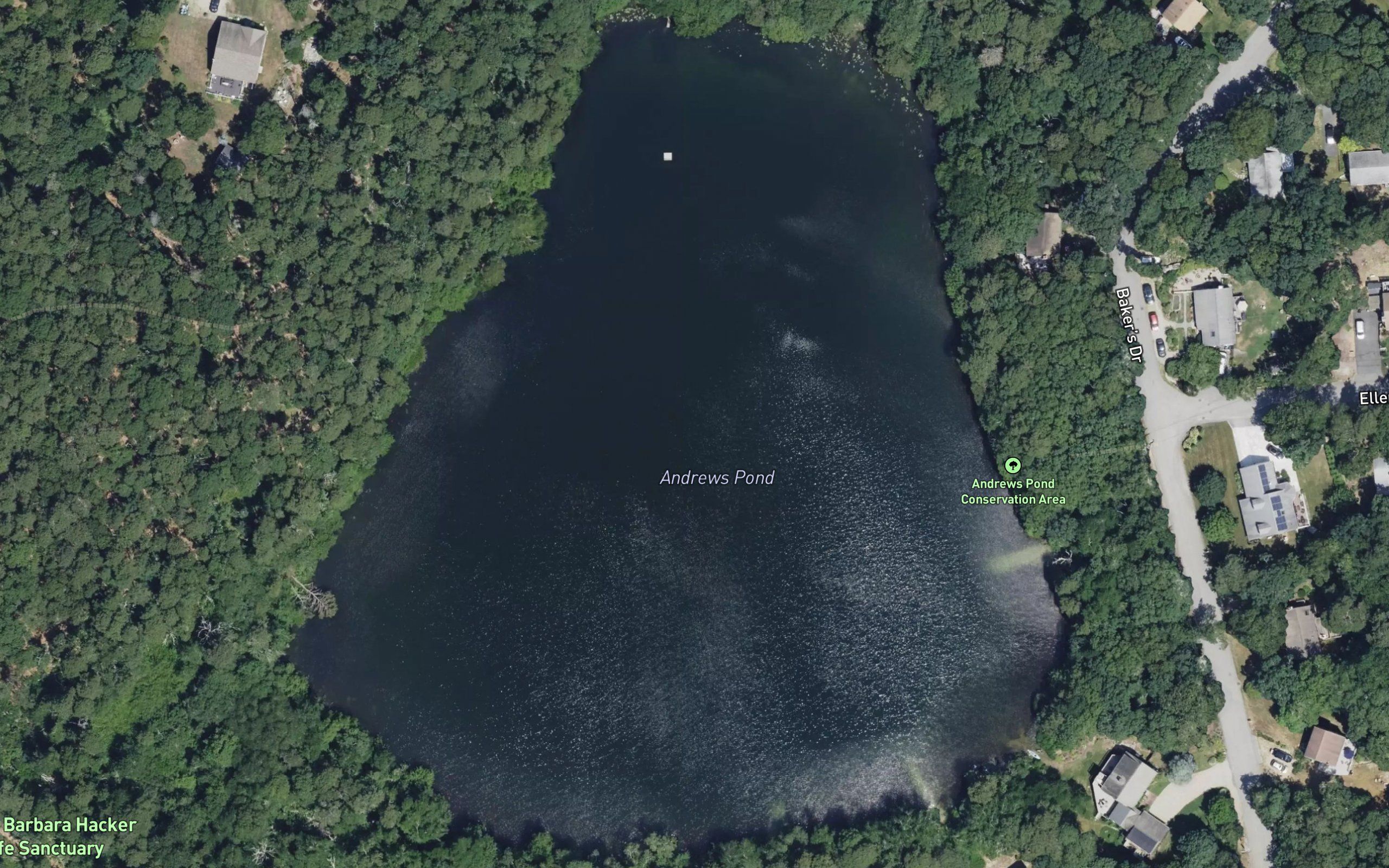 Andrews Pond