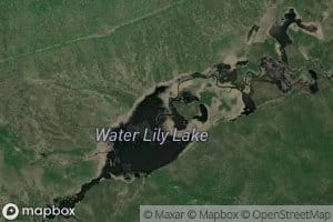 Water Lily Lake