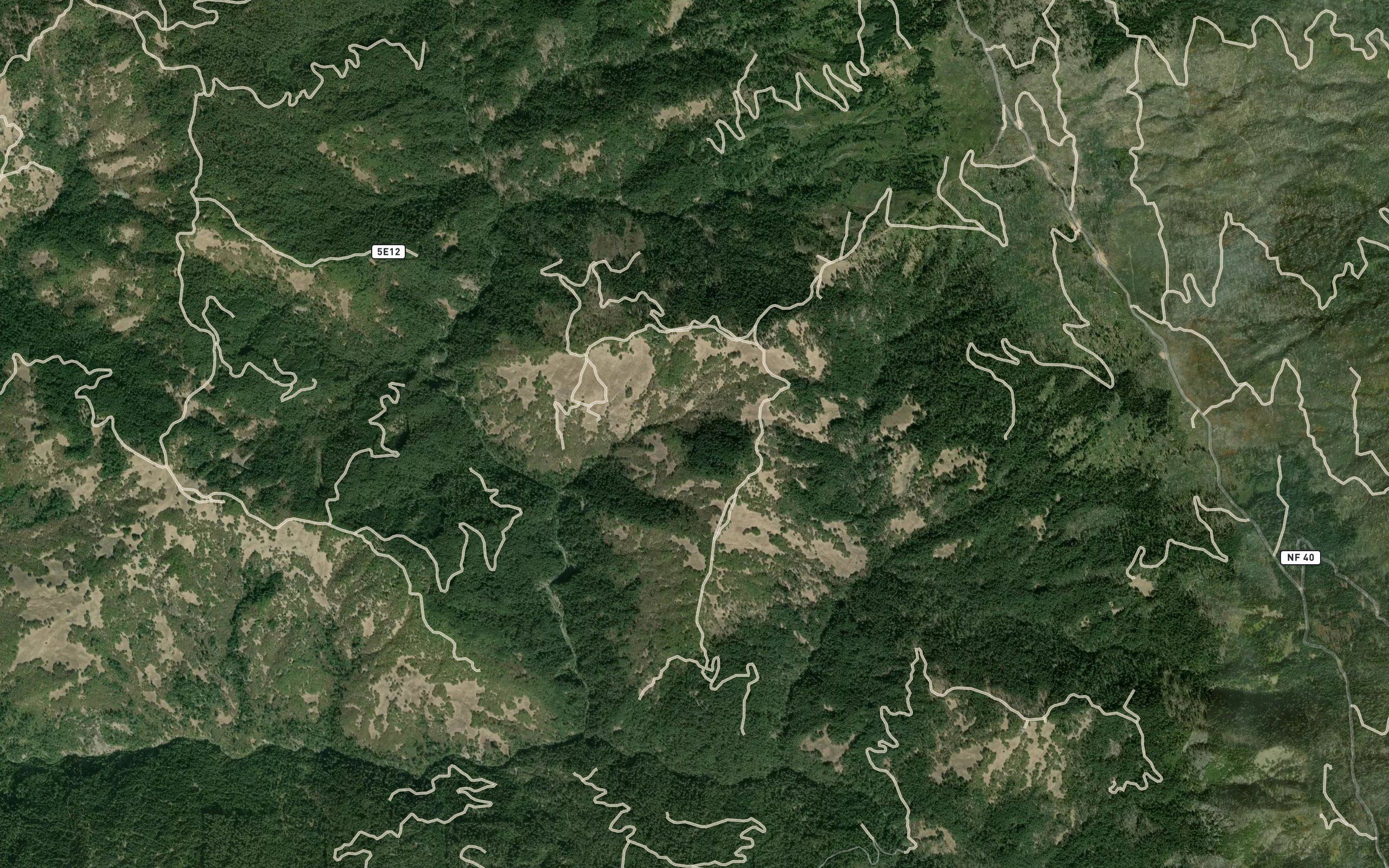 Pistol Spring