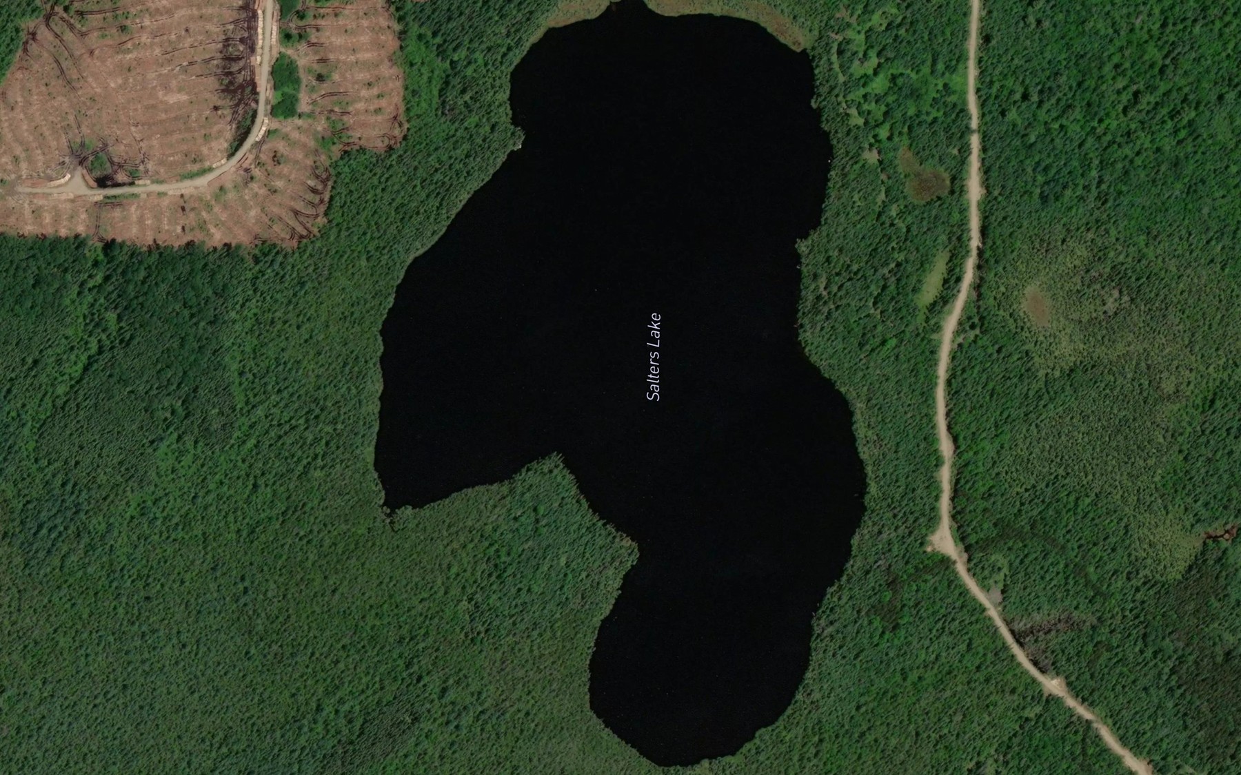 Satellite map of the Salters Lake