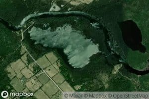 Fergusons Mud Lake