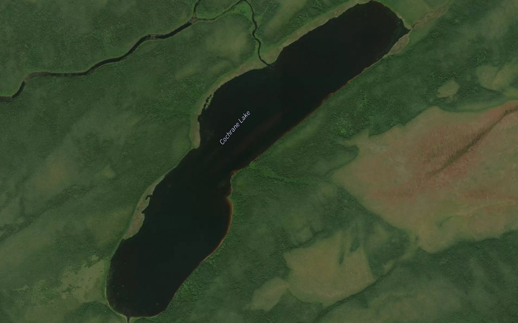 Satellite map of the Cochrane Lake