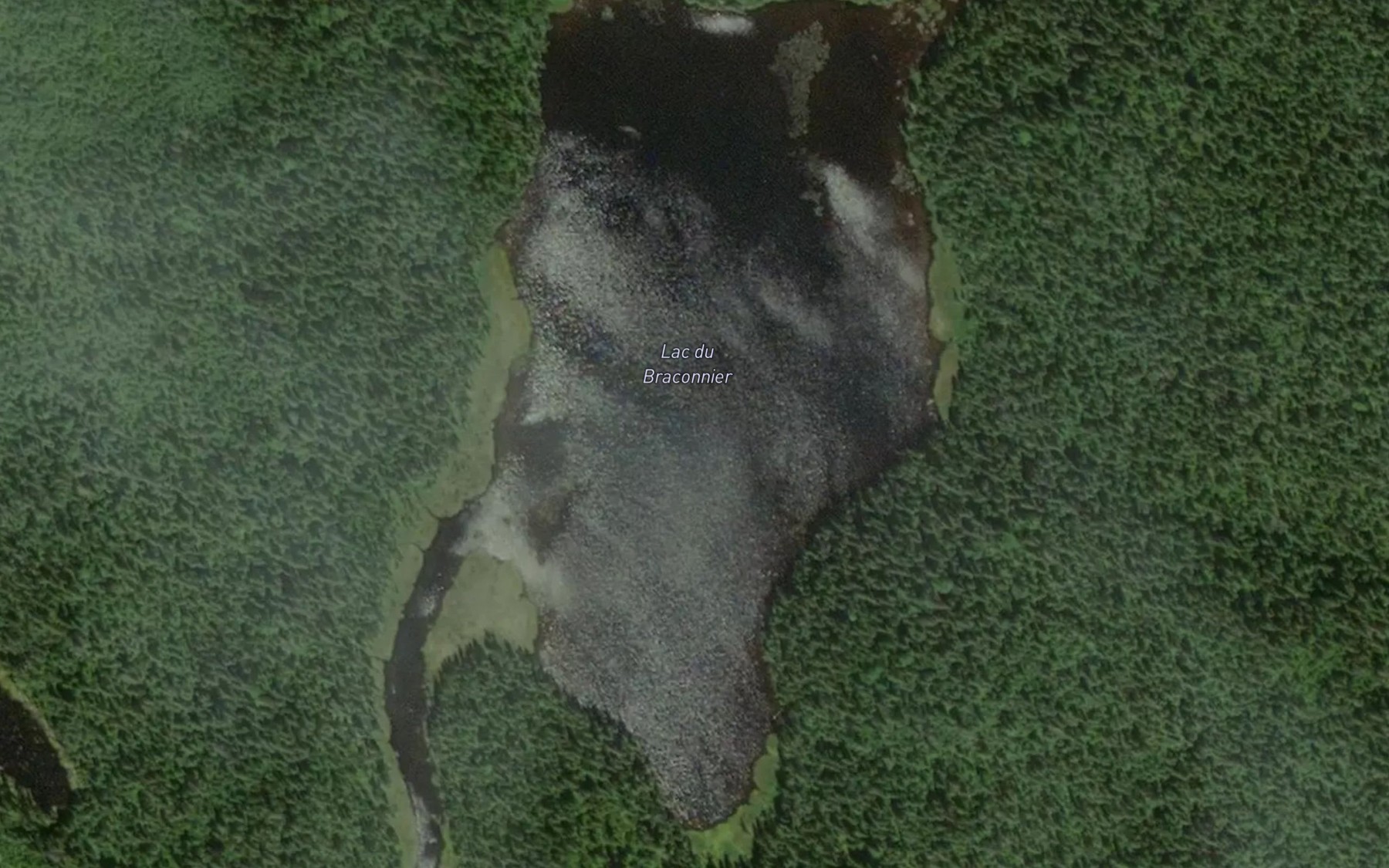 Satellite map of the Lac du Braconnier