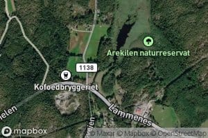 Tangenbekken