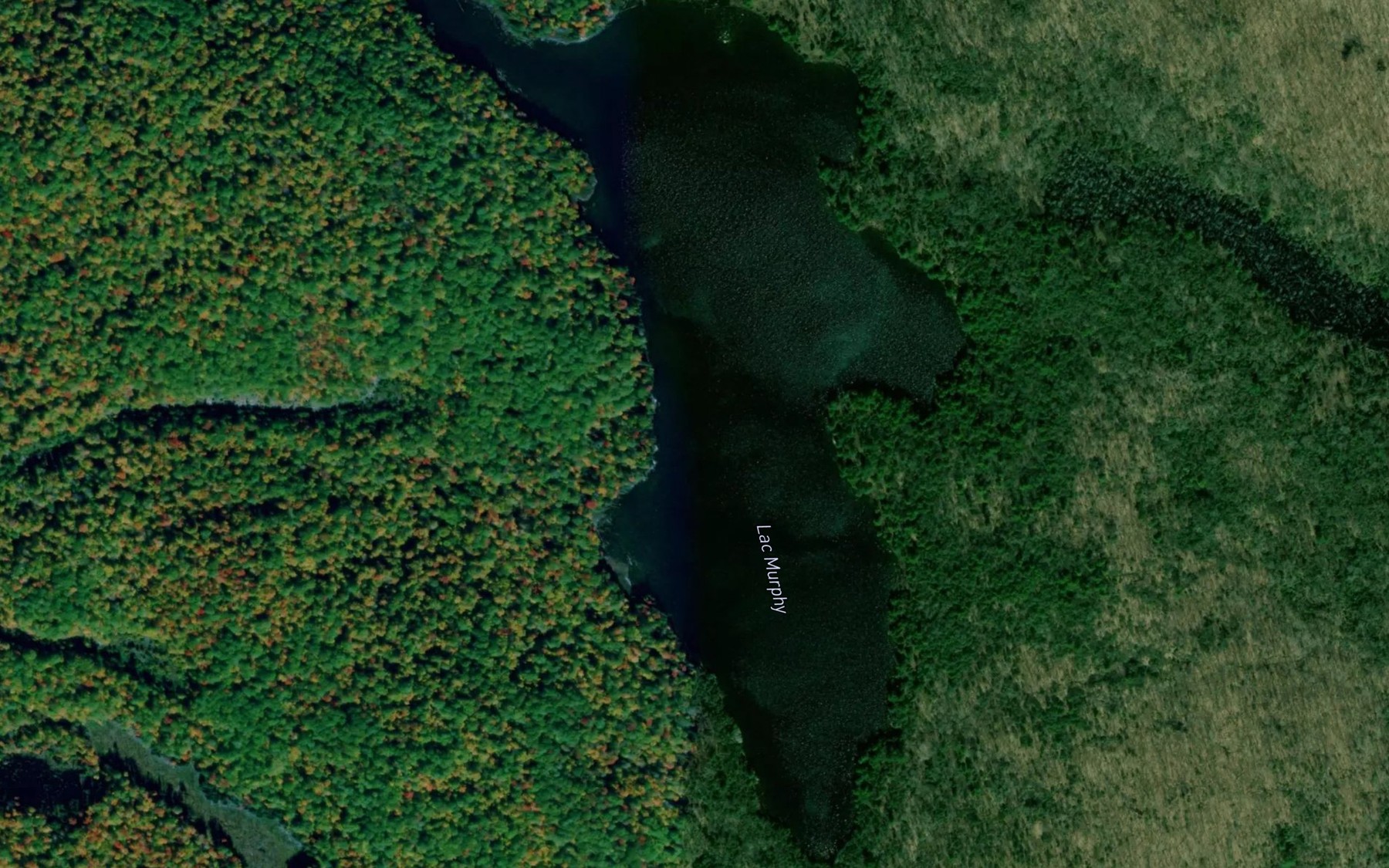 Satellite map of the Lac Murphy