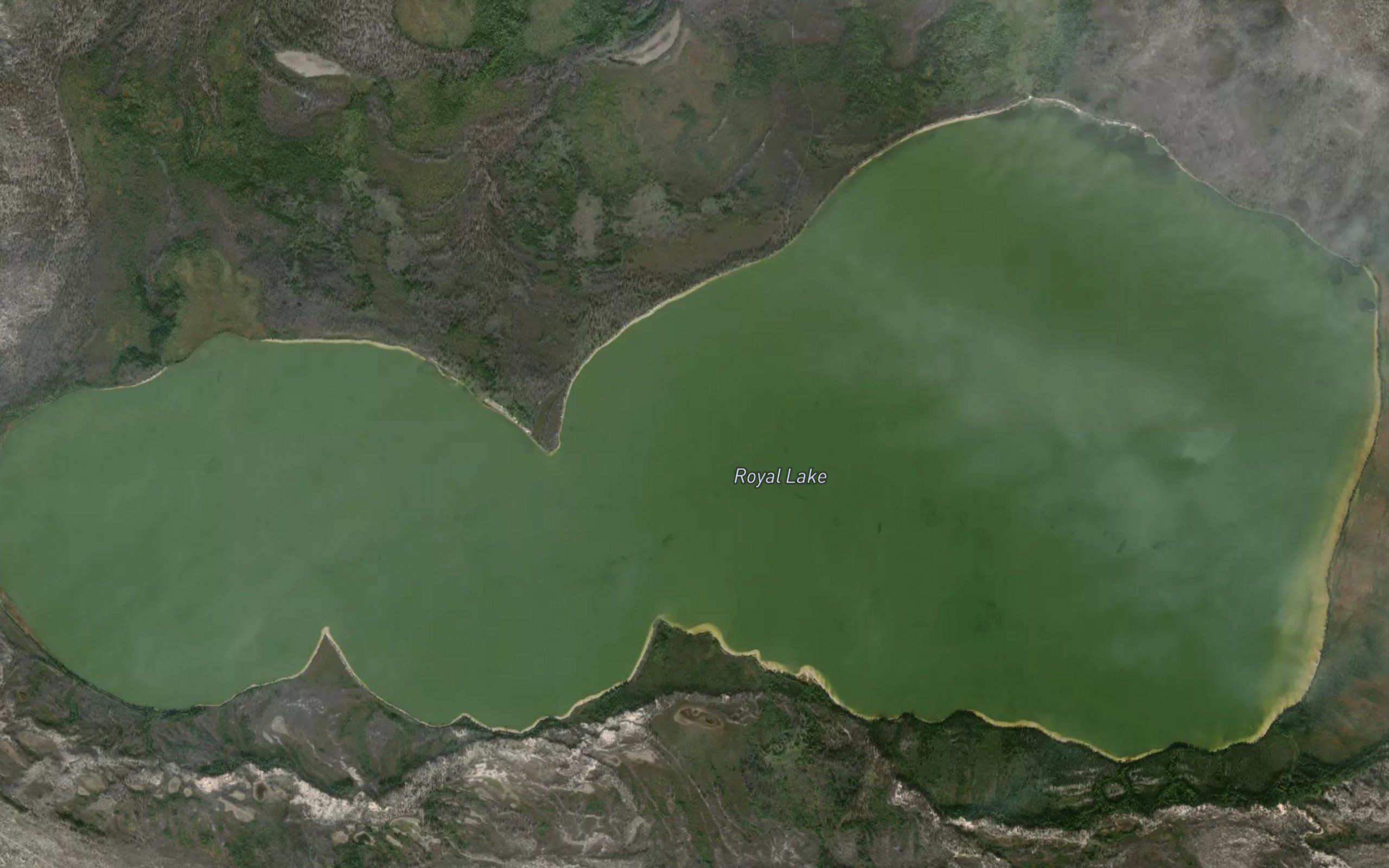 Royal Lake