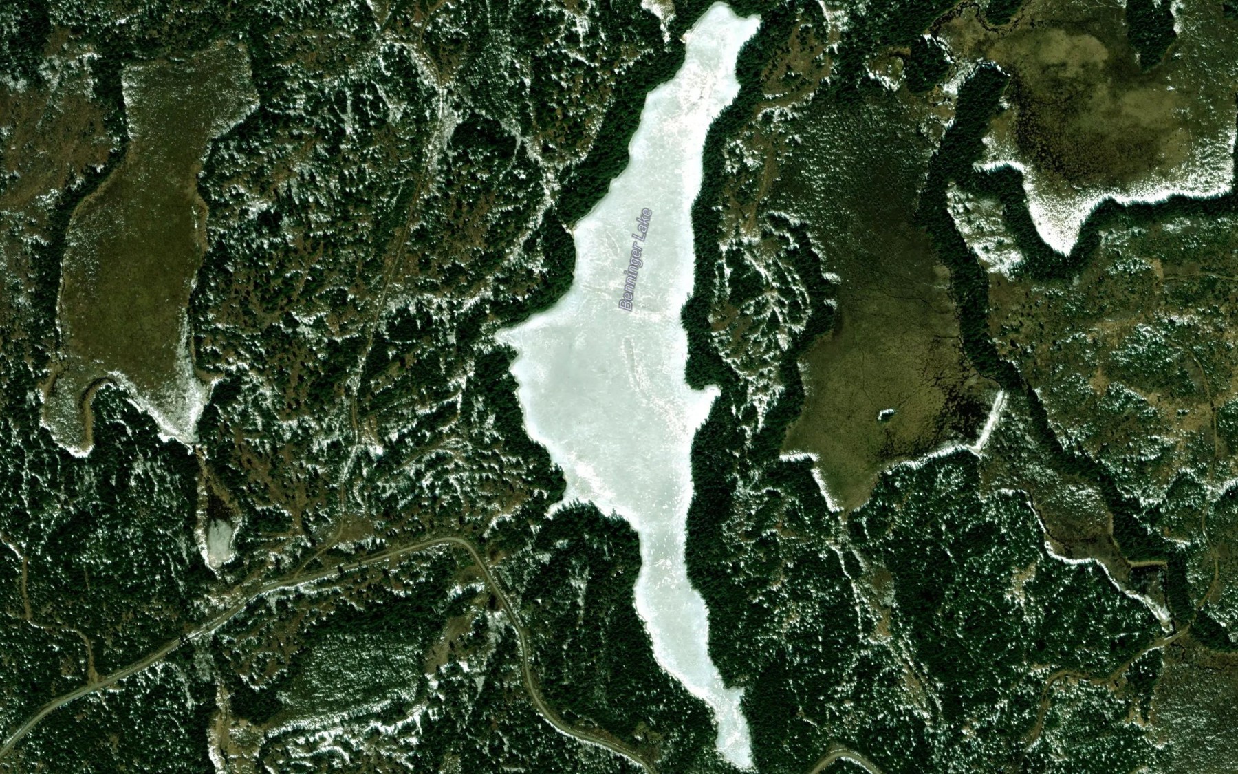 Satellite map of the Benninger Lake