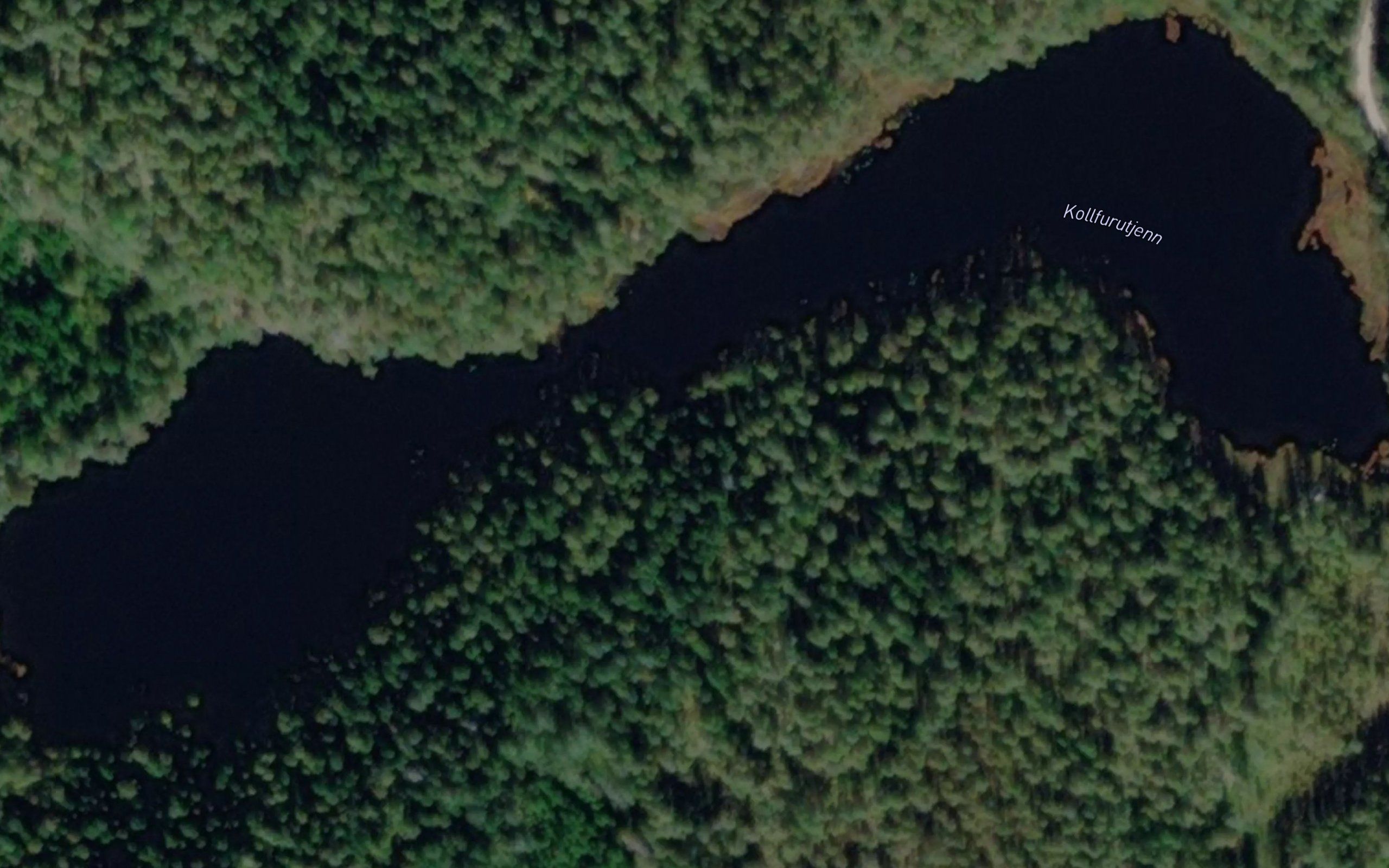 Kollfurutjenn
