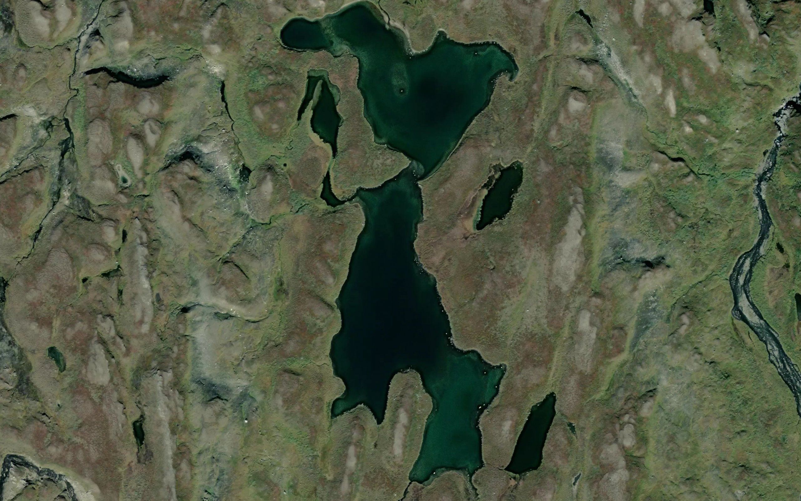 Guevtelsjaevrie