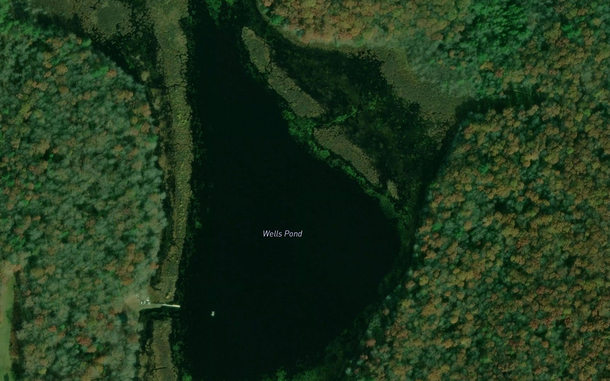 Wells Pond