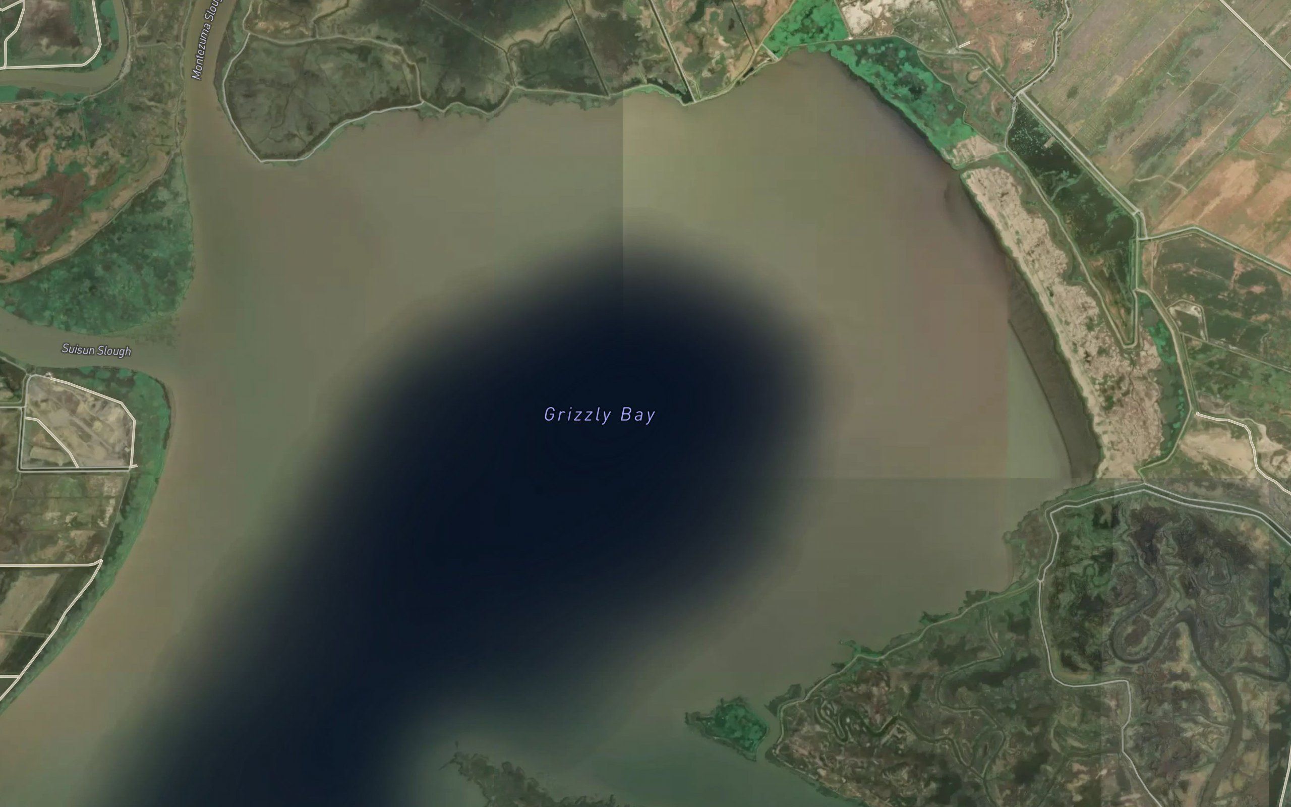 Grizzly Bay