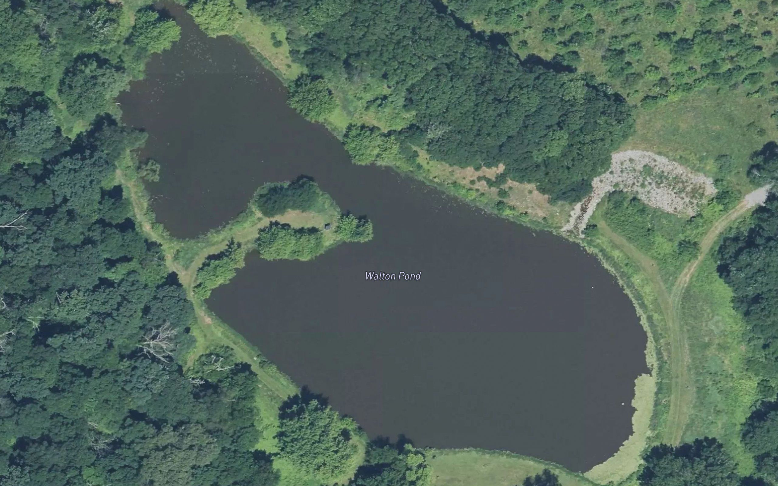 Walton Pond