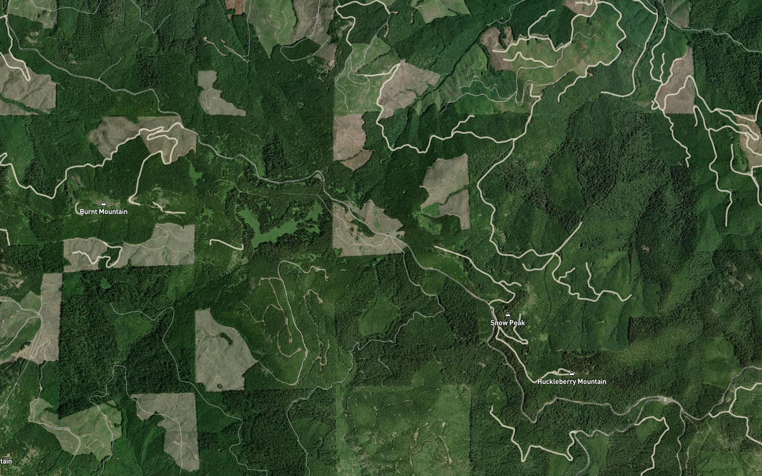 Huckleberry Spring