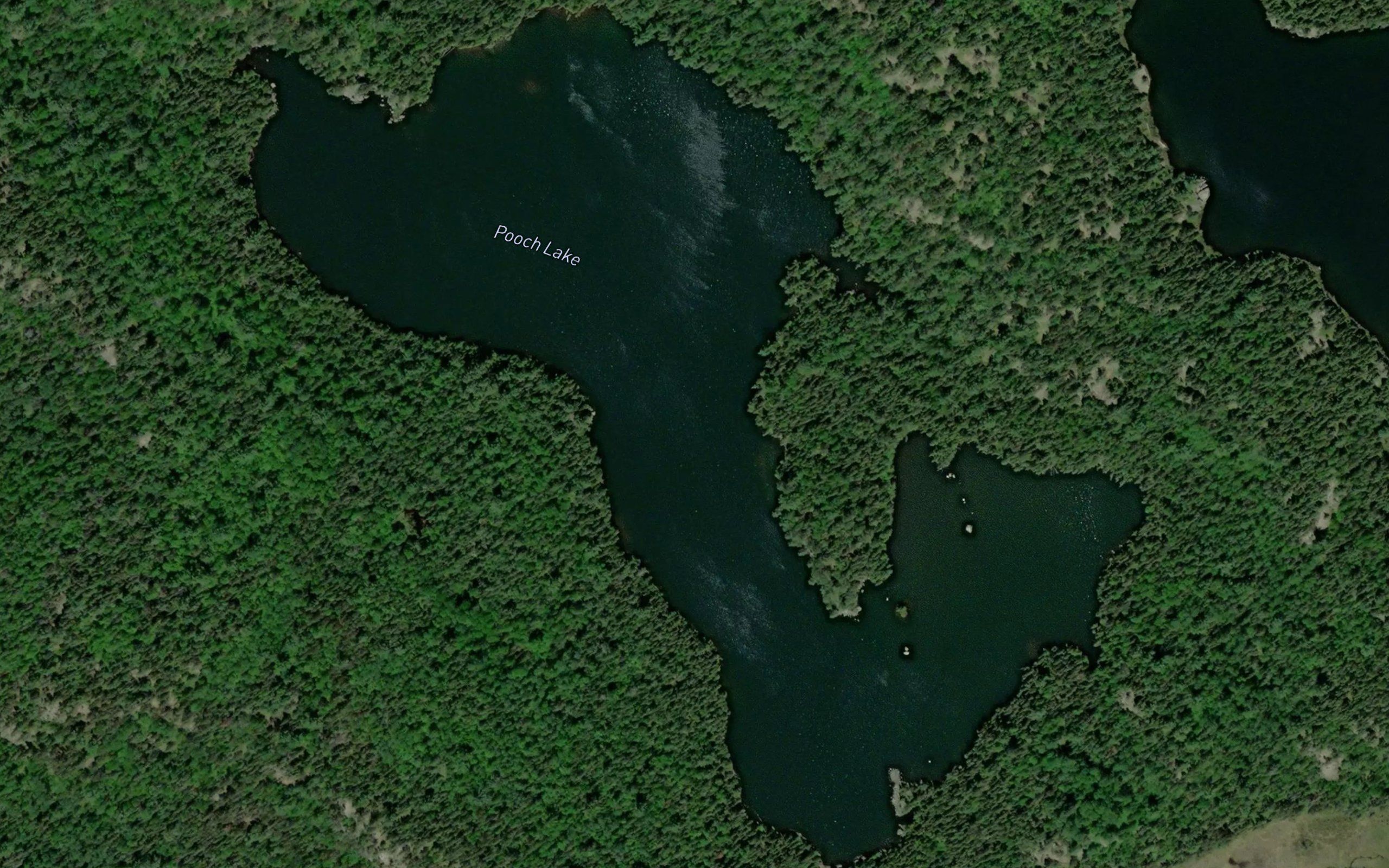 Pooch Lake