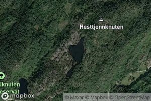 Hesttjenn