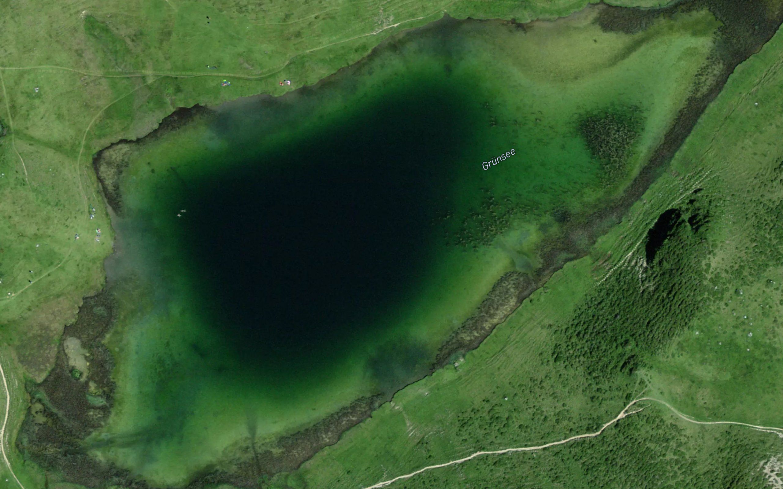 Grueensee
