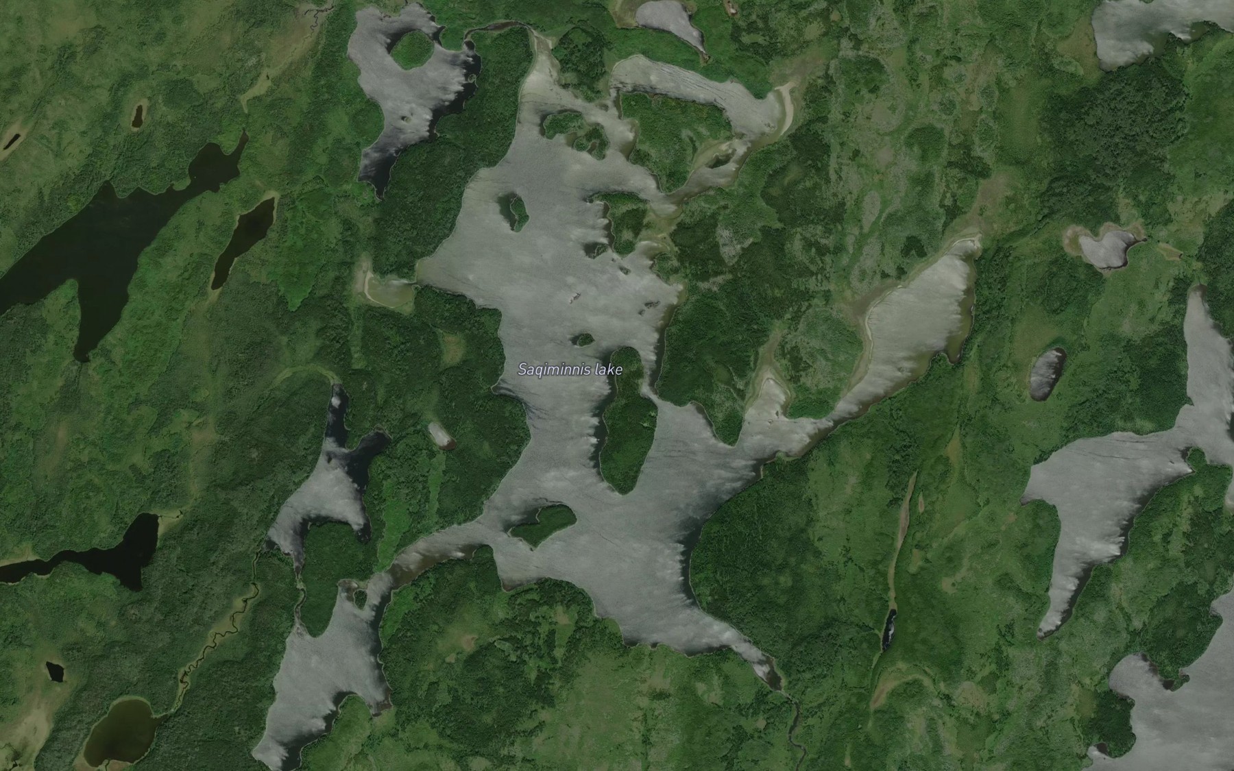 Satellite map of the Sagiminnis Lake