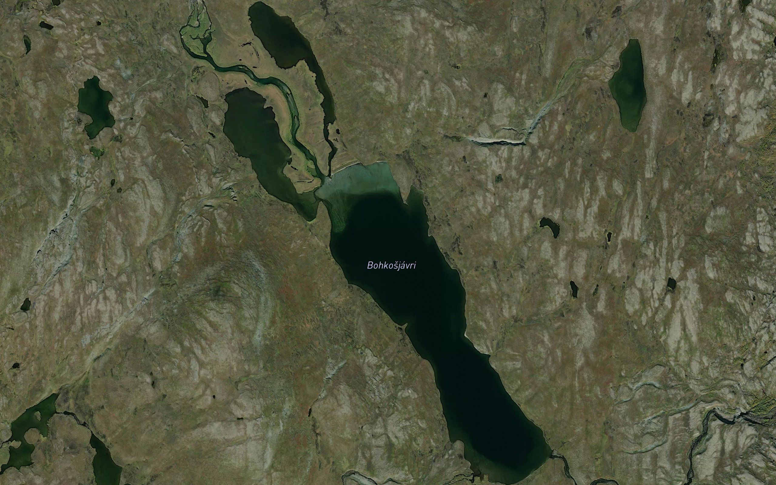 Bakkusjavri